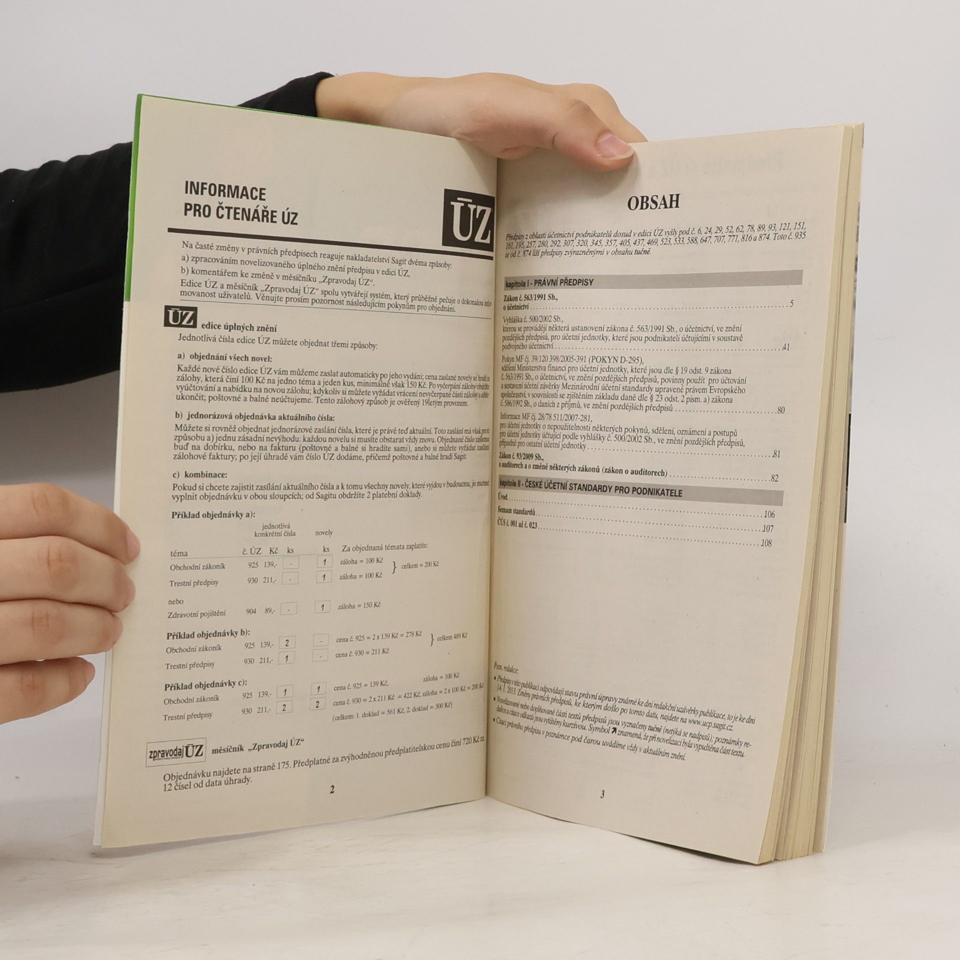 Autorenkollektiv Účetnictví podnikatelů. Audit 2013