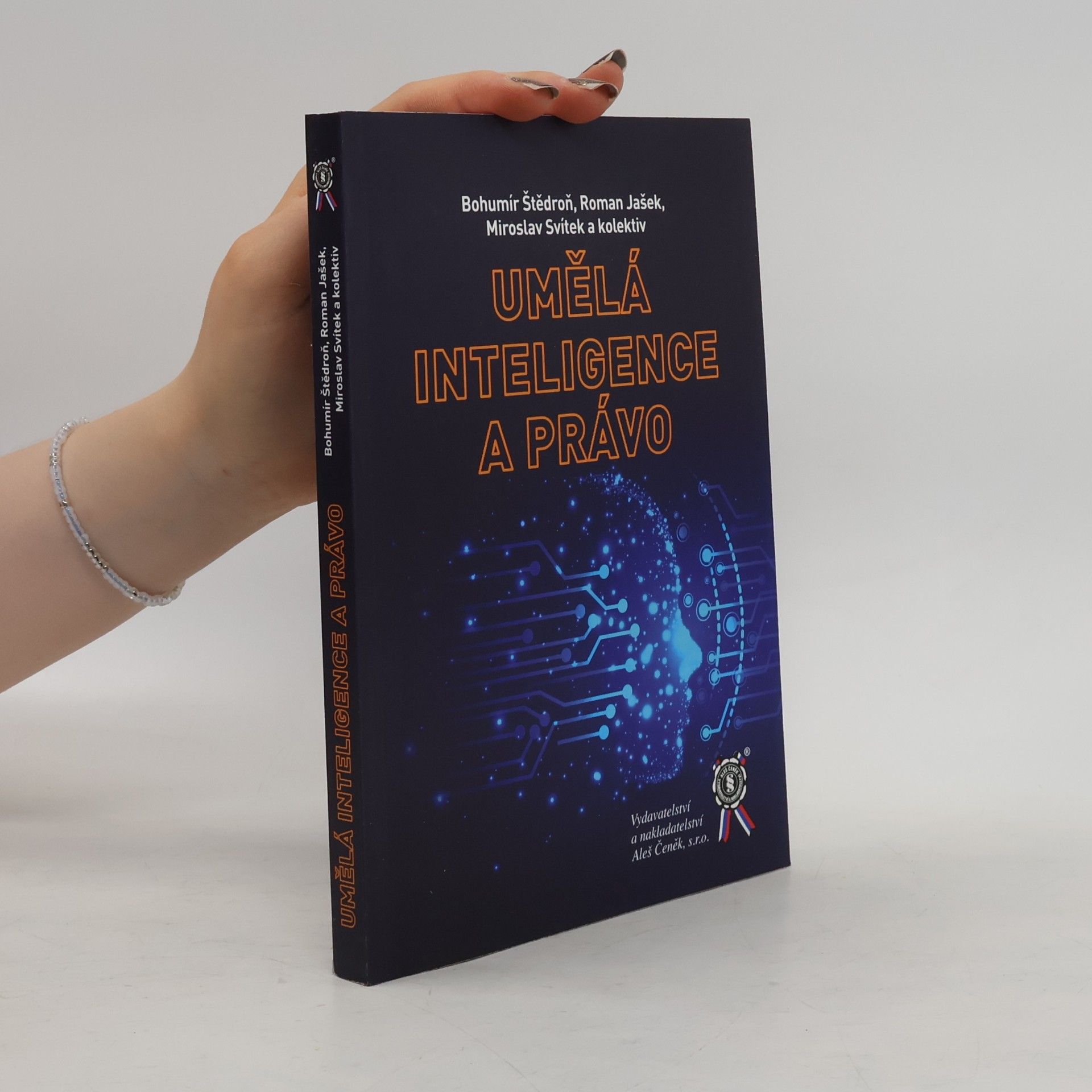 Kolektiv autorů Umělá inteligence a právo