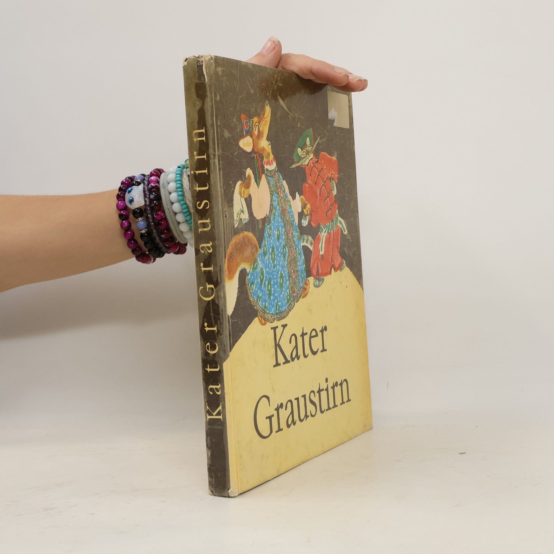 Autorenkollektiv Kater Graustirn