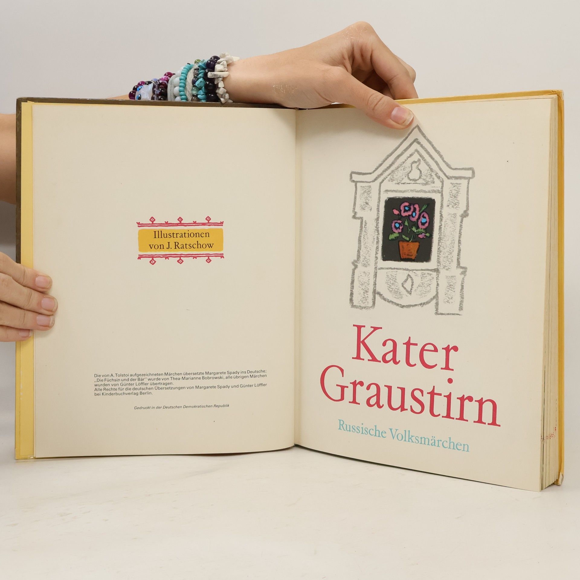 Autorenkollektiv Kater Graustirn