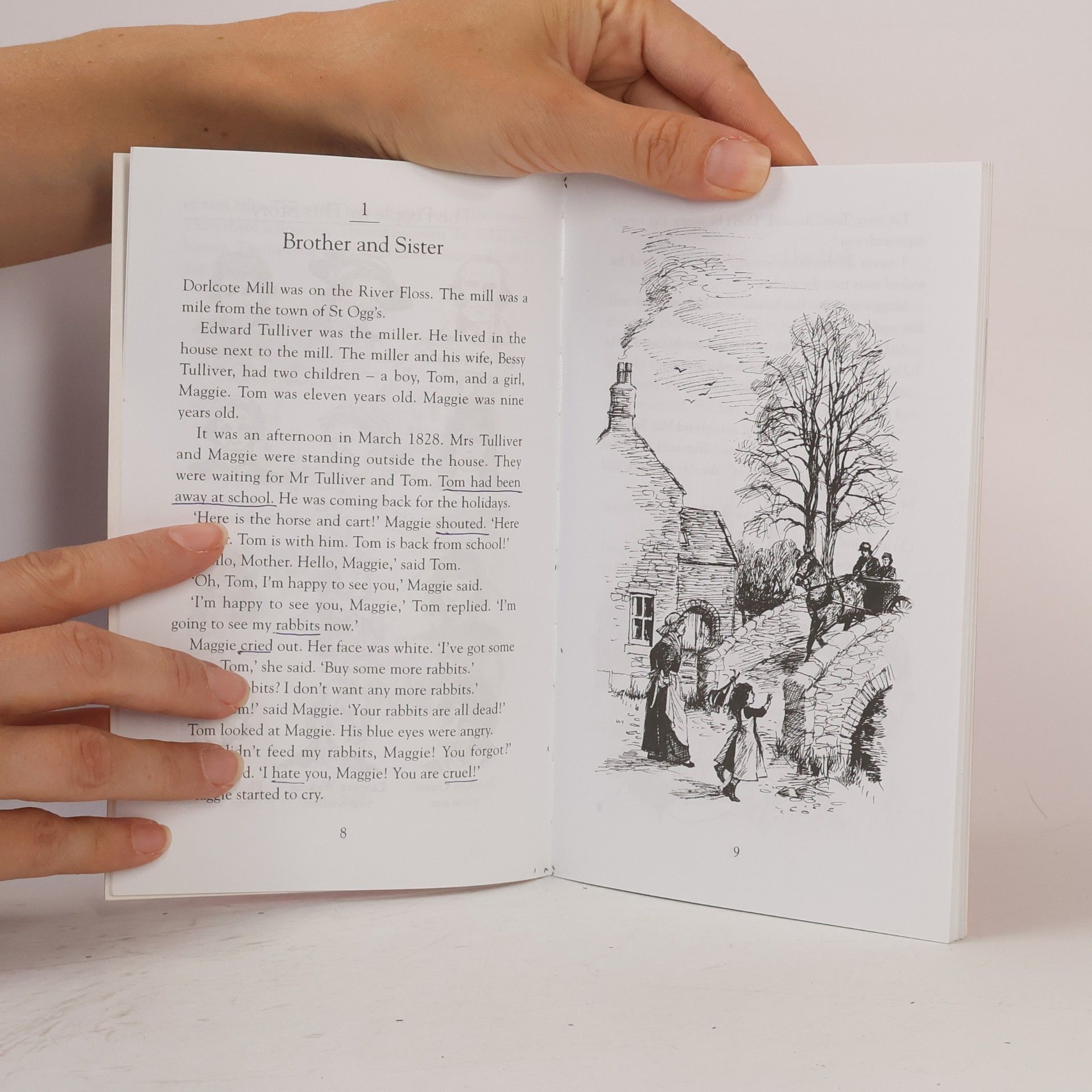 George Eliot The Mill on the Floss