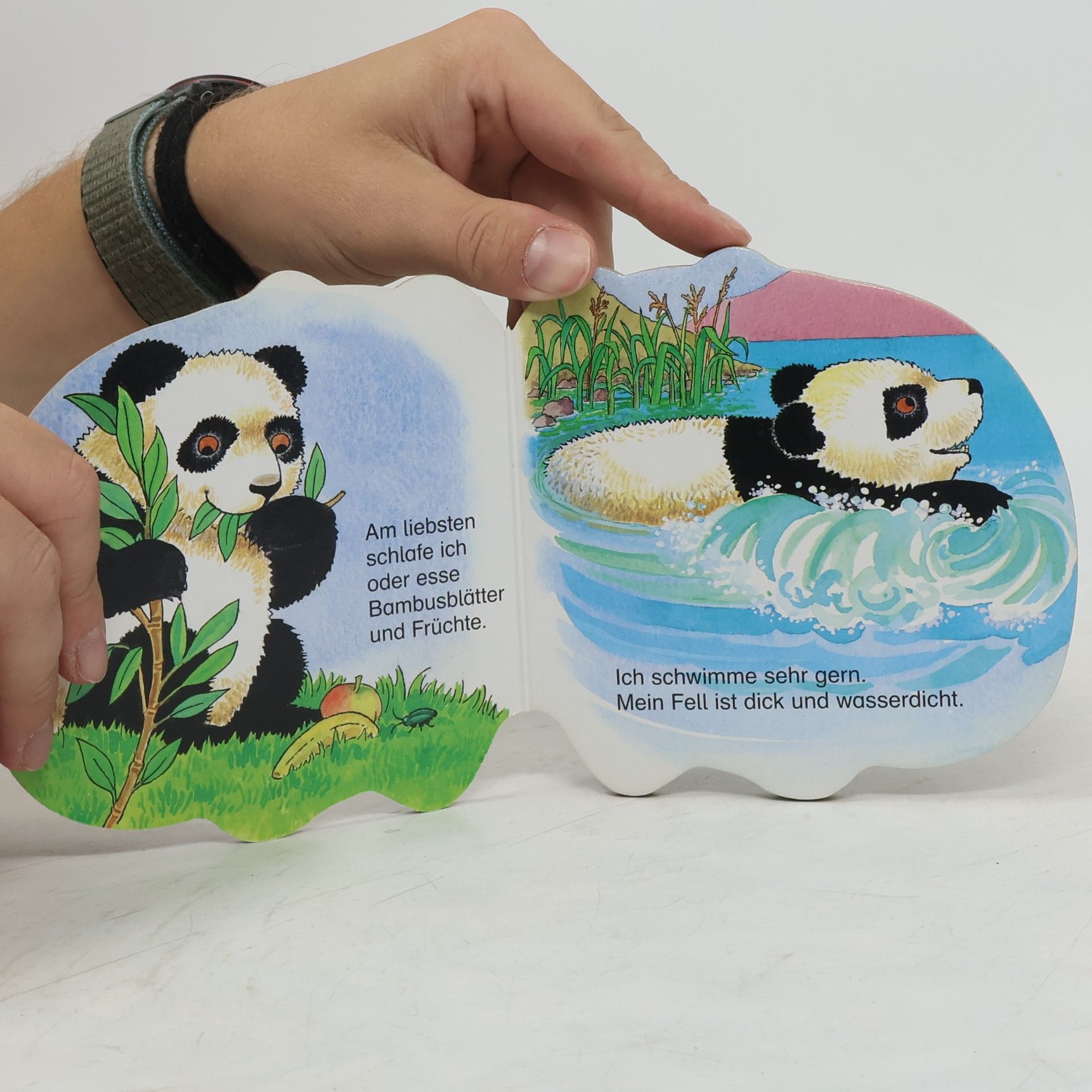 Pam Adams Mein kleiner Panda