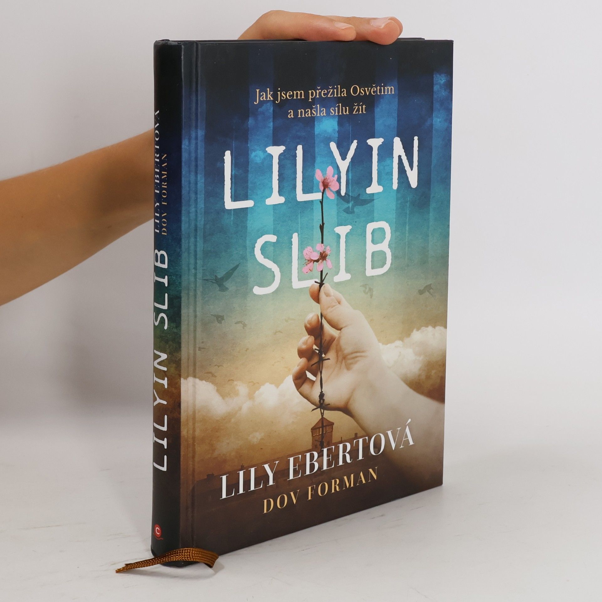 Lily Ebert Lilyin slib