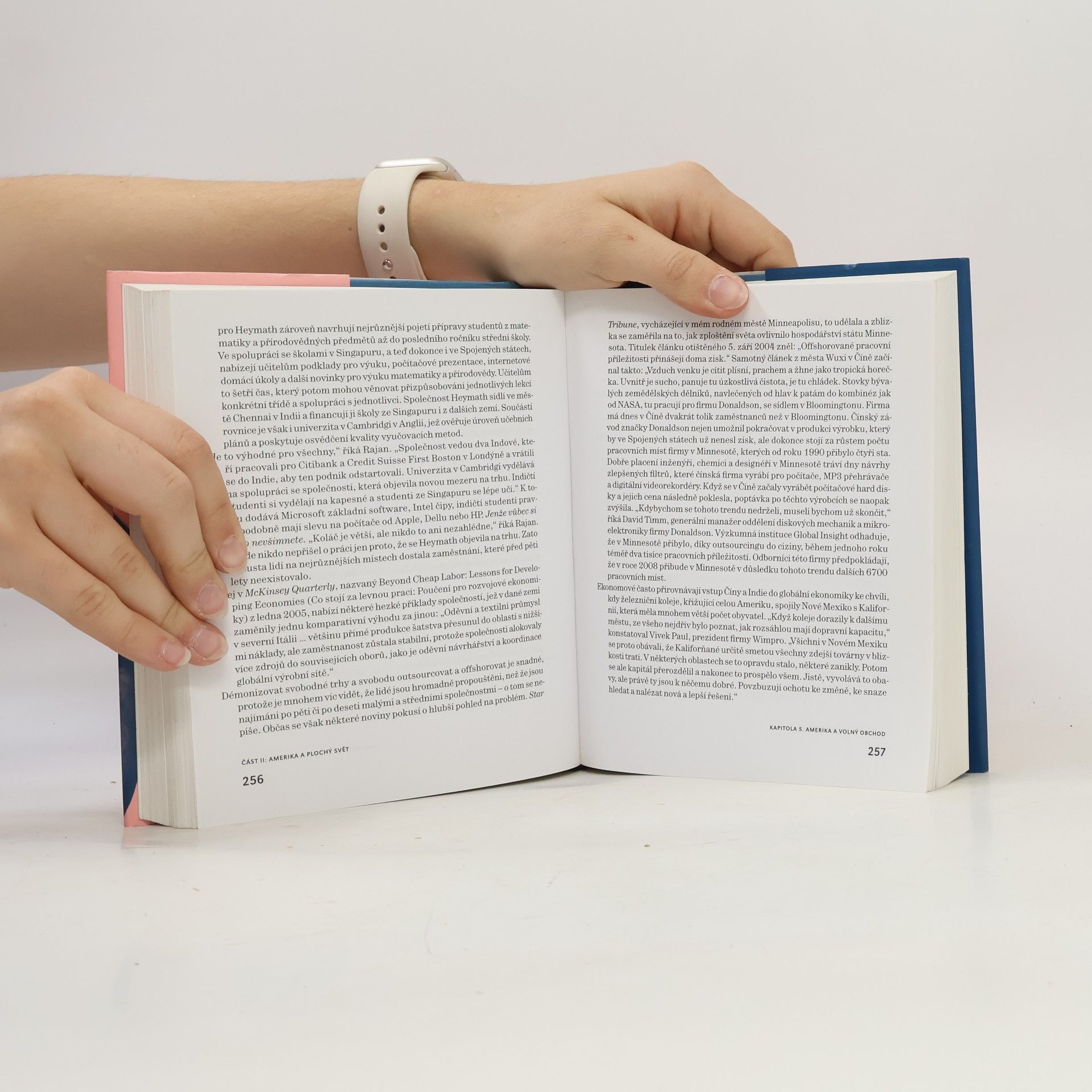 Thomas Friedman Svět je plochý. Stručné dějiny jedenadvacátého století