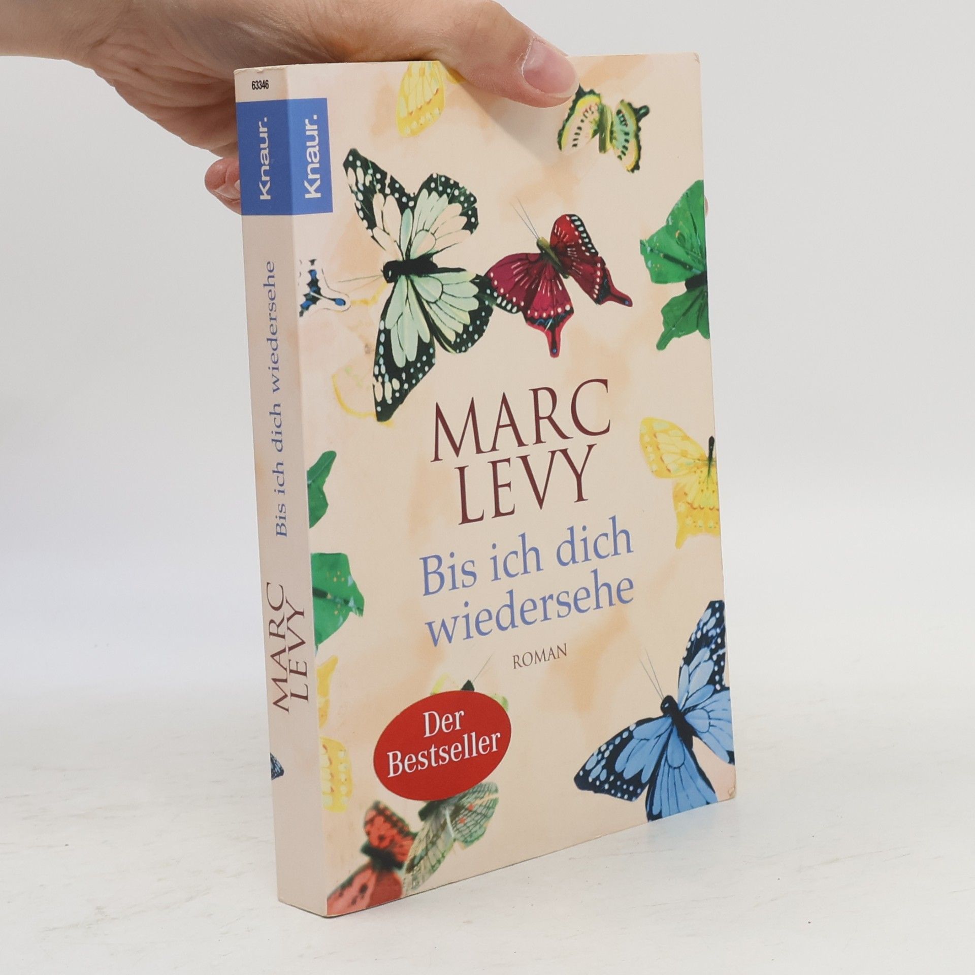 Marc Lévy Bis ich dich wiedersehe