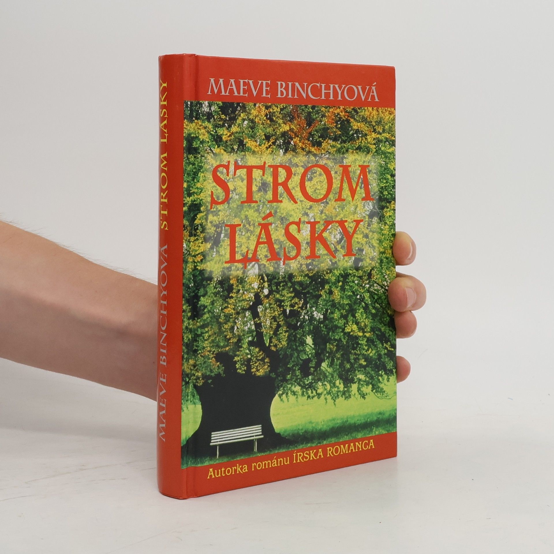 Maeve Binchy Strom lásky