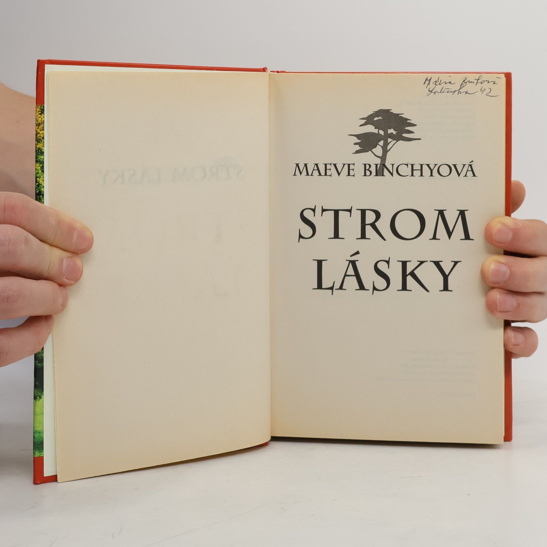 Maeve Binchy Strom lásky