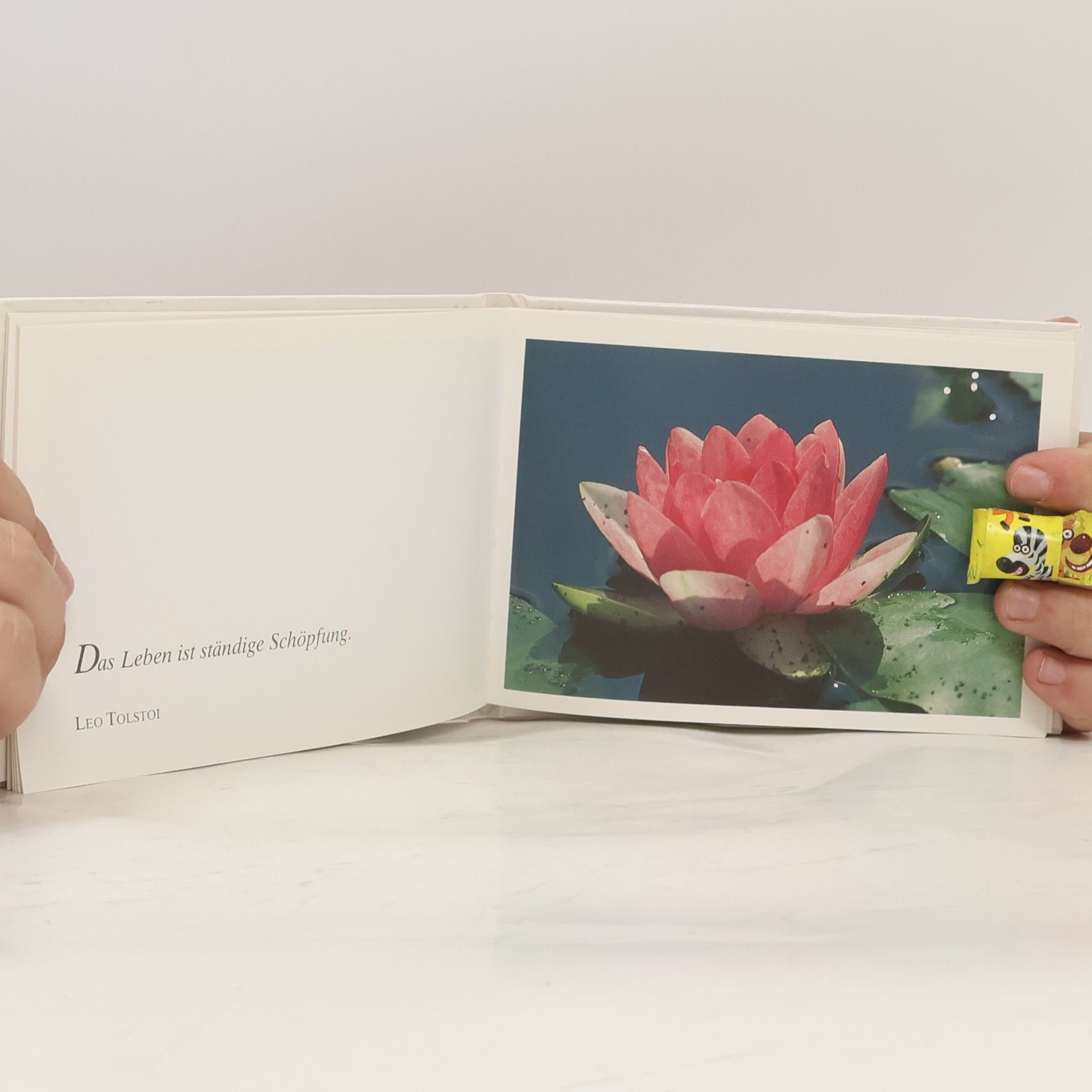 Autores varios Spuren der Lebensfreude