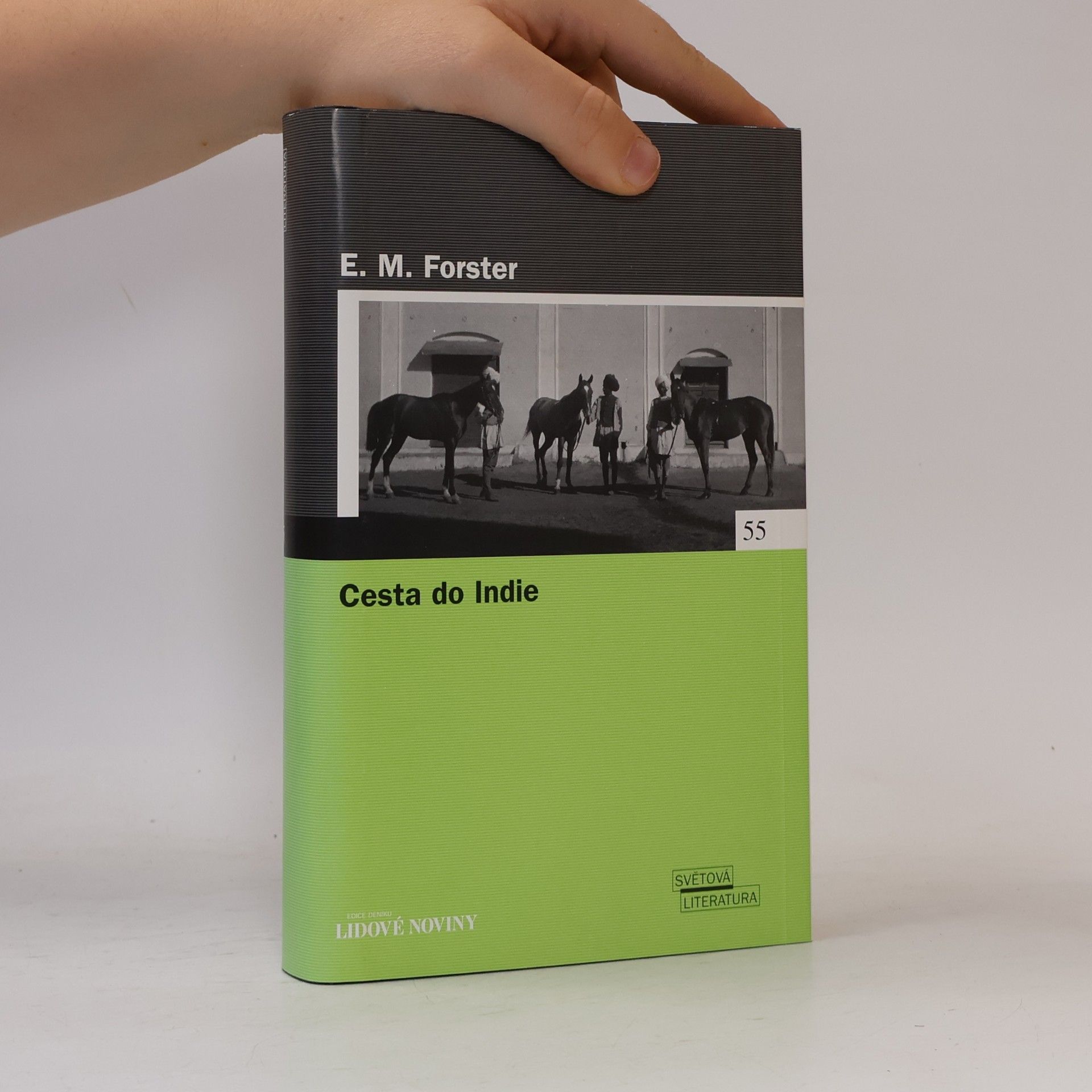 Edward M. Forster Cesta do Indie