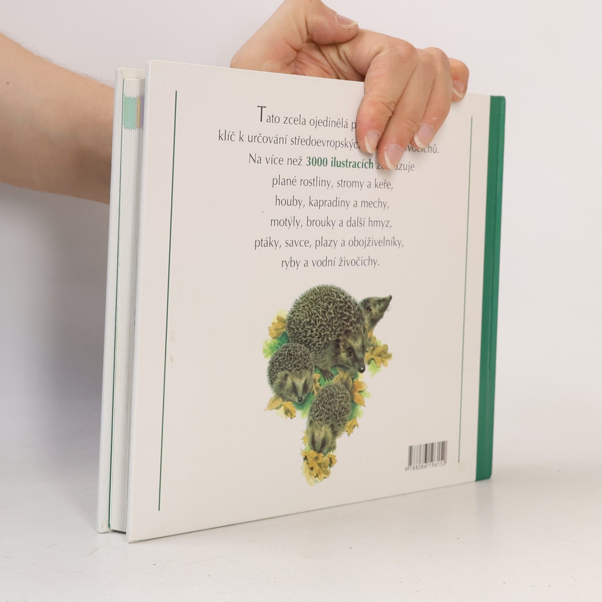 Collectif d'auteurs Naše příroda