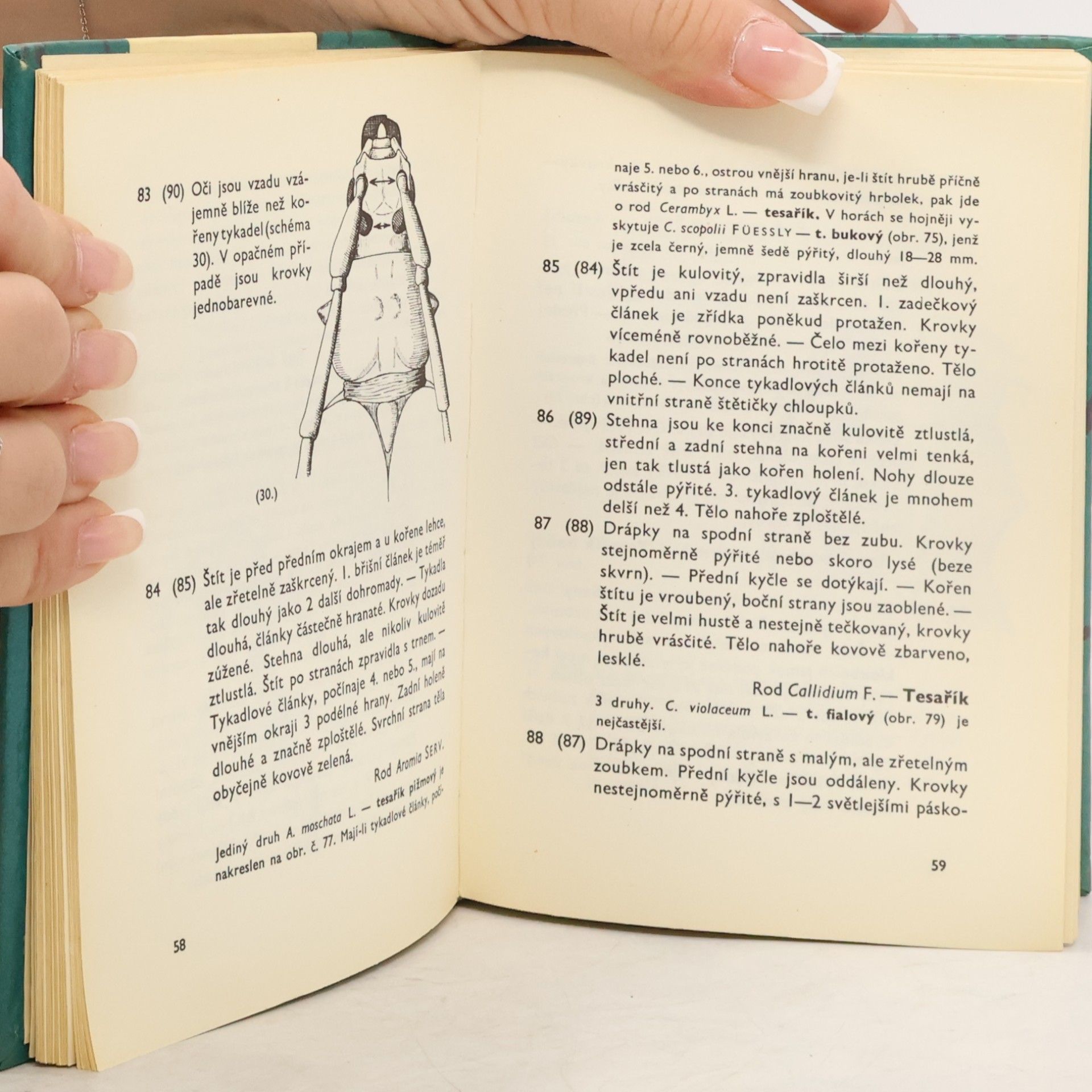 Vladimír Javorek Kapesní atlas brouků