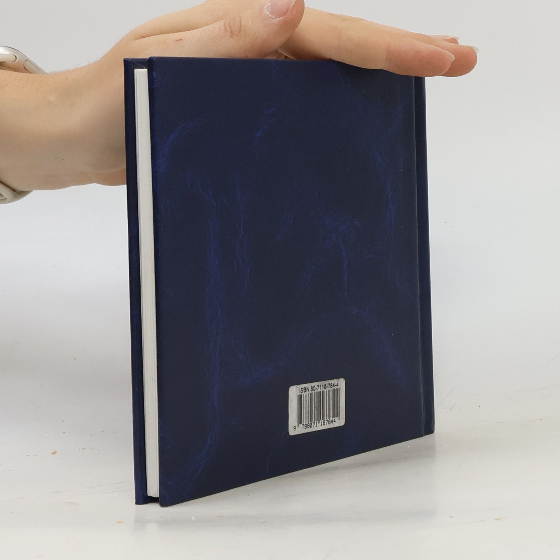Kamil Peteraj V slepých uličkách