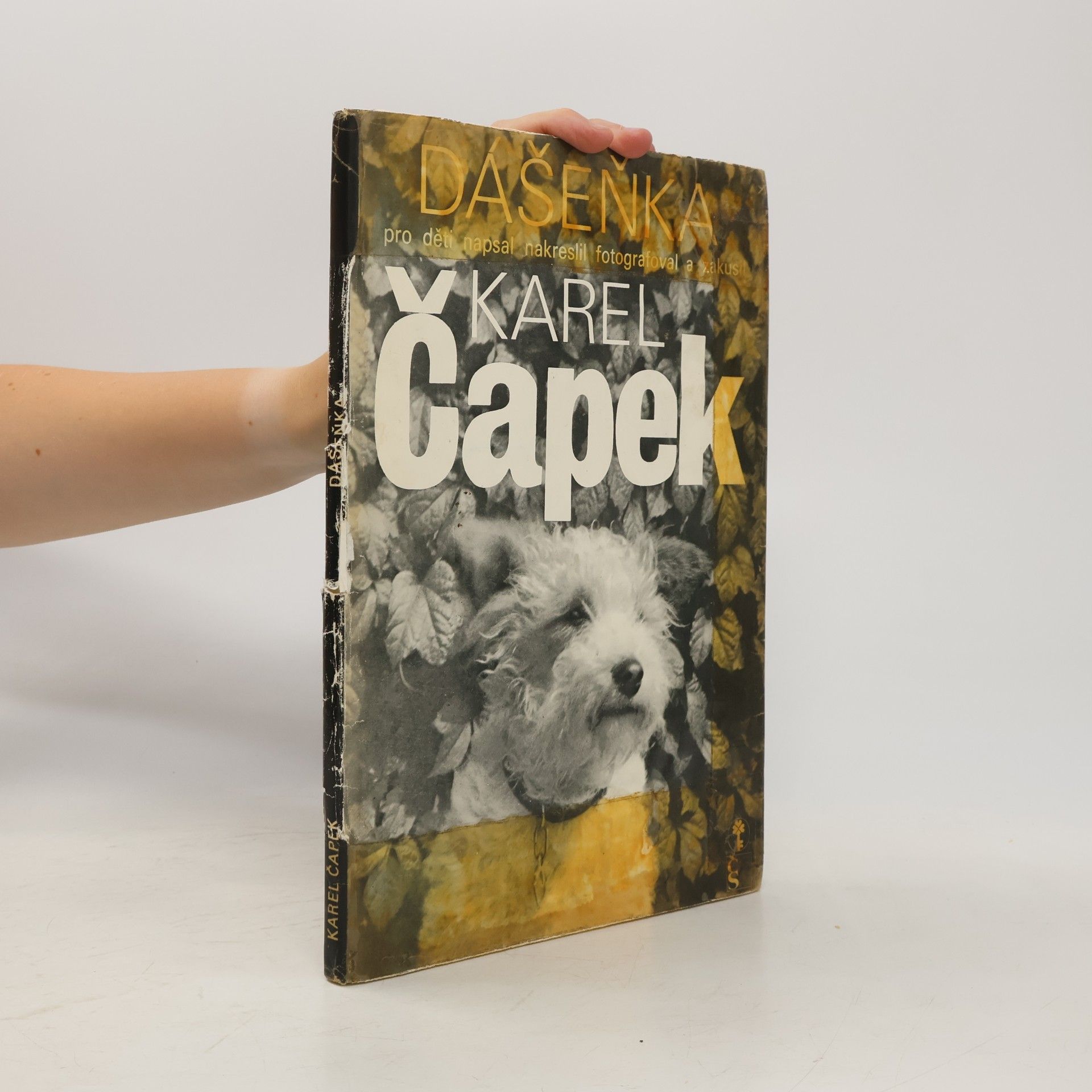 Karel Čapek Dášeňka čili život štěněte
