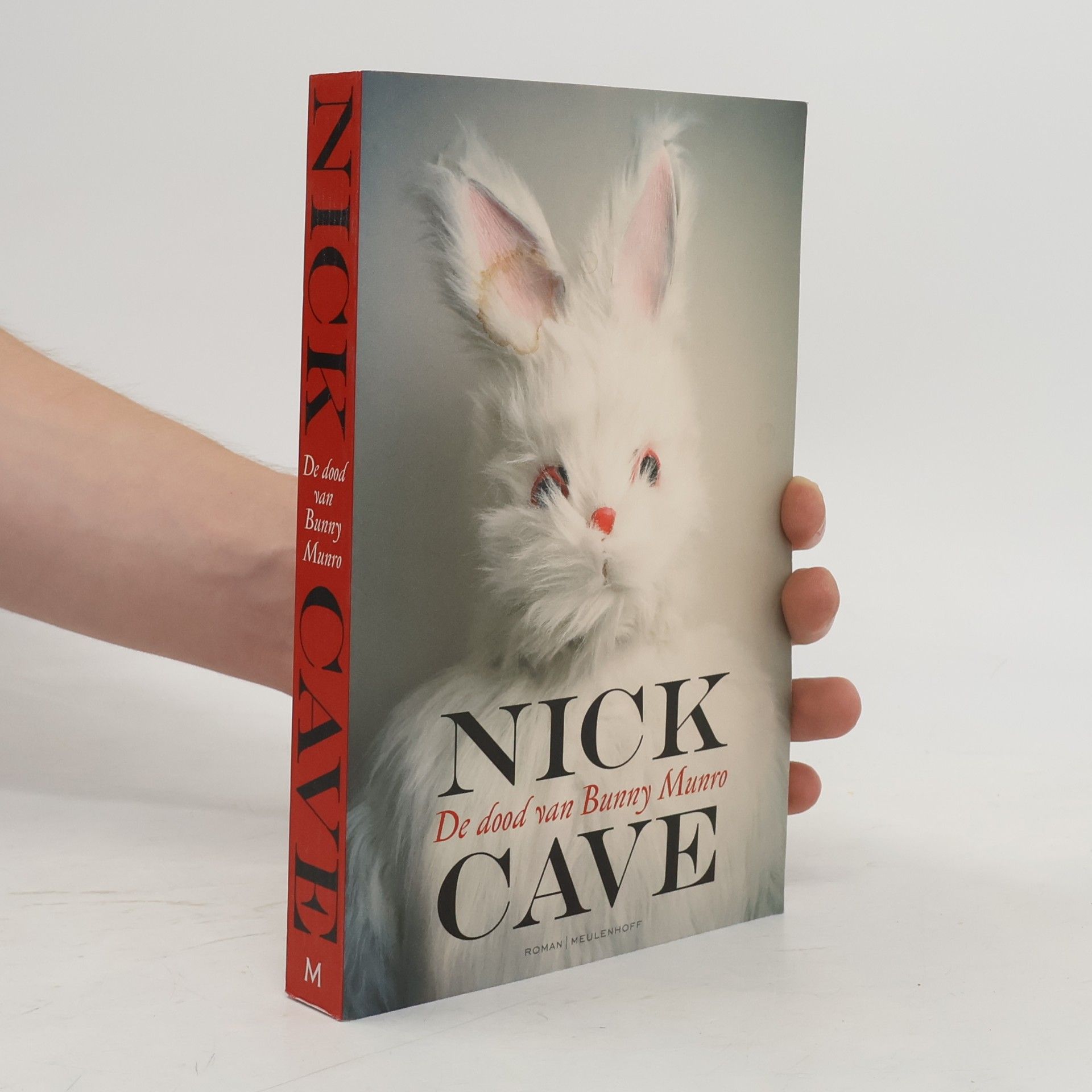 Nick Cave De dood van Bunny Munro