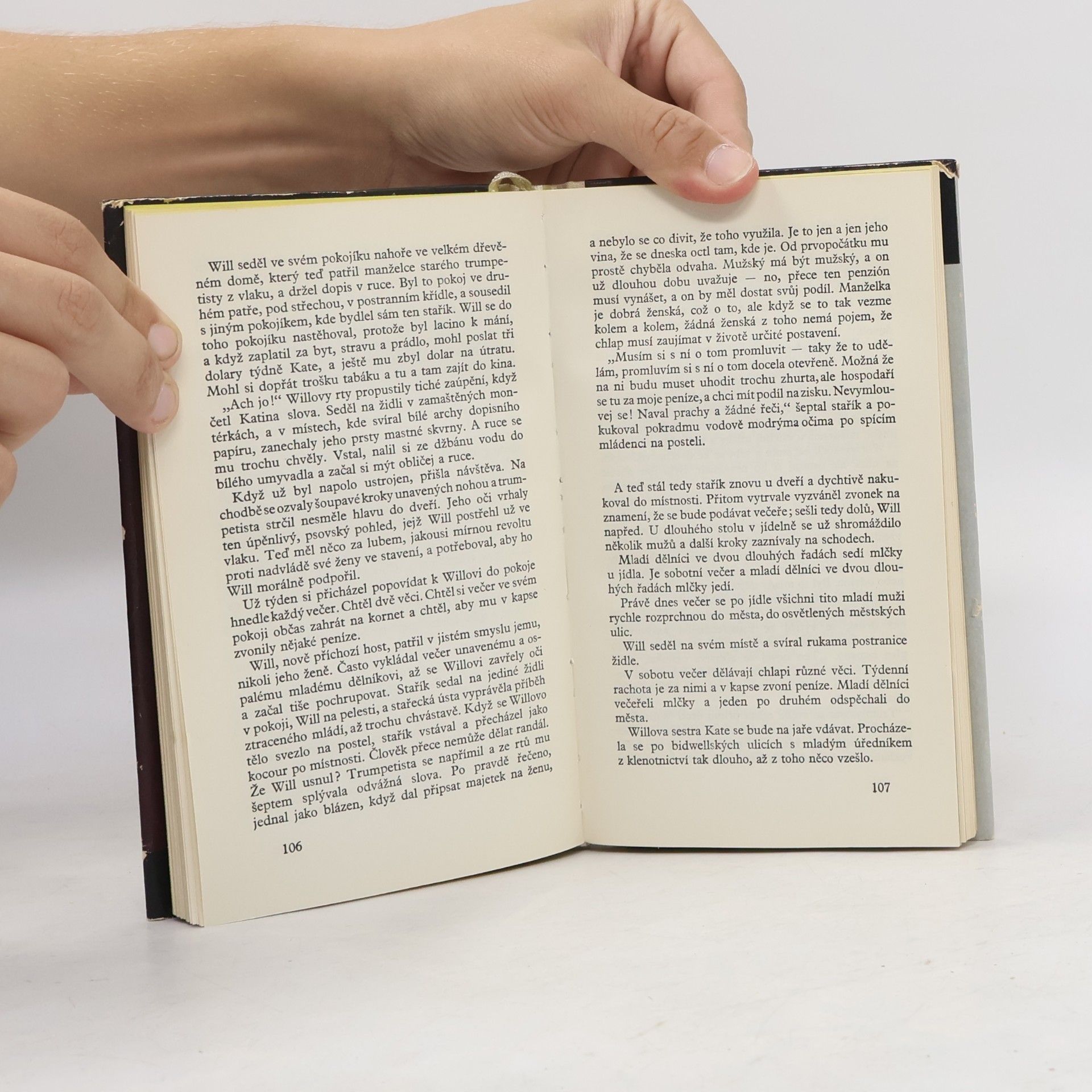 Sherwood Anderson Smrt v lese