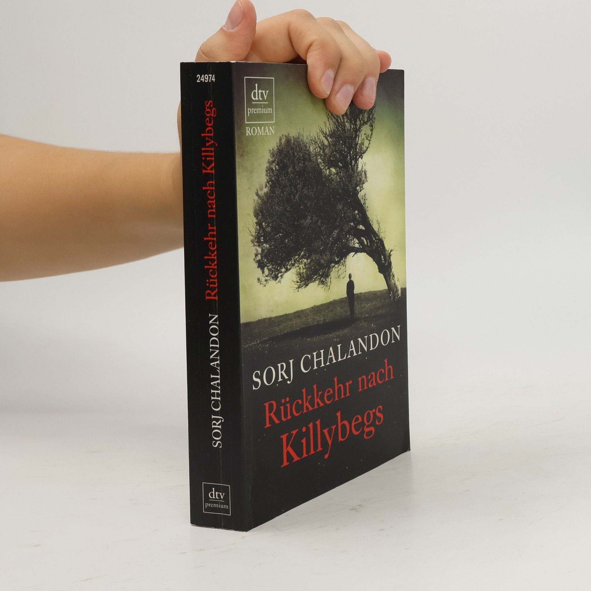 Sorj Chalandon Rückkehr nach Killybegs