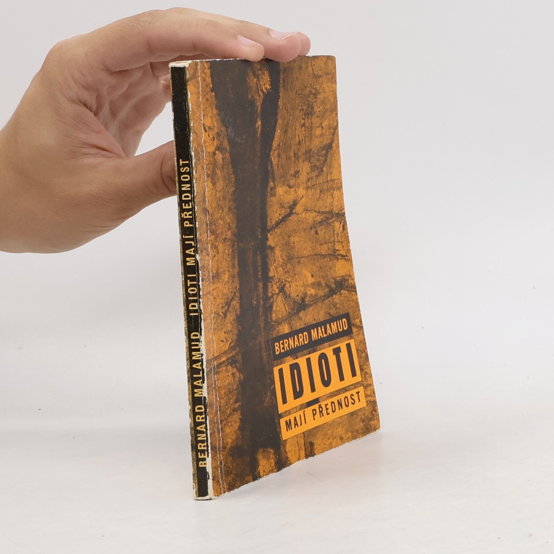 Bernard Malamud Idioti mají přednost