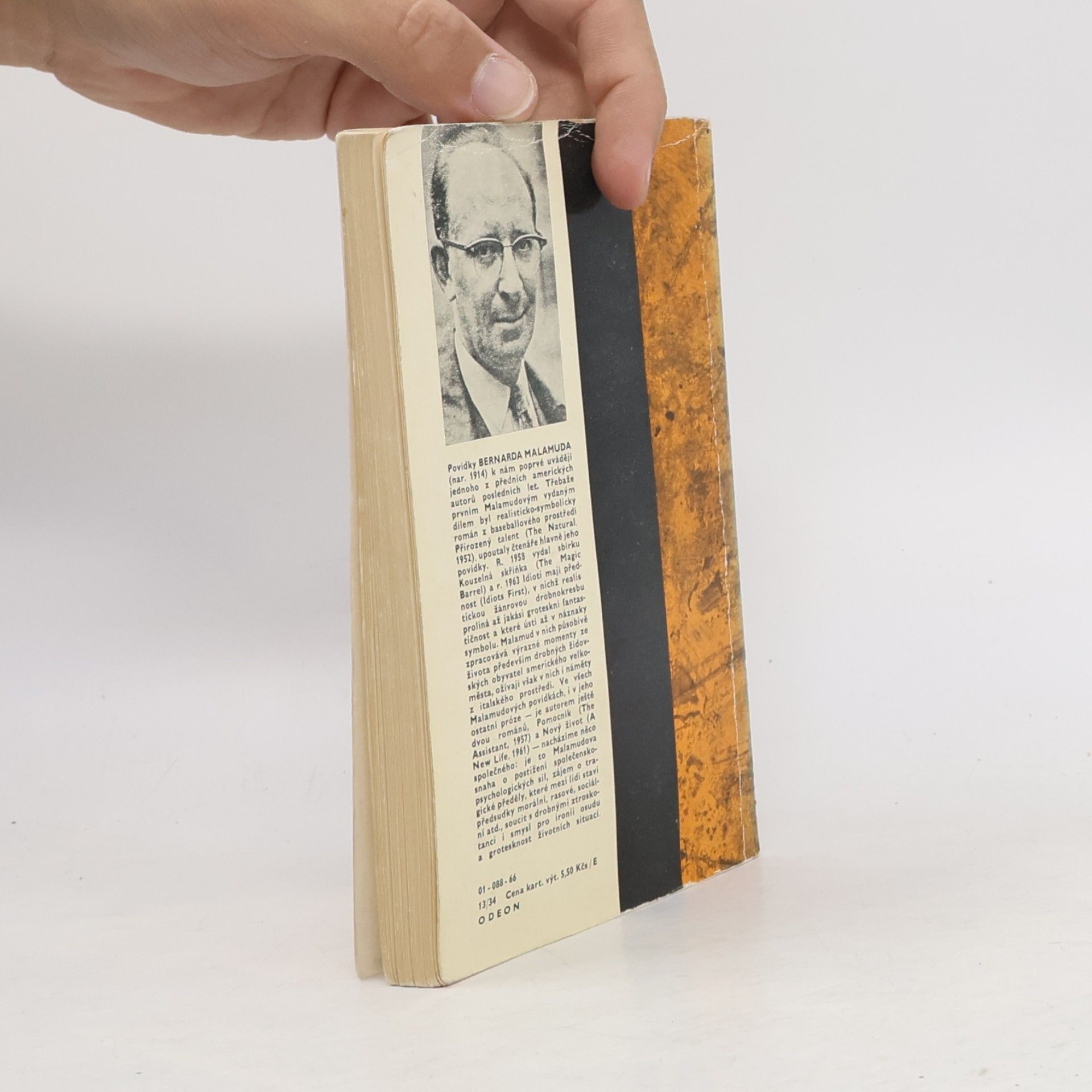 Bernard Malamud Idioti mají přednost