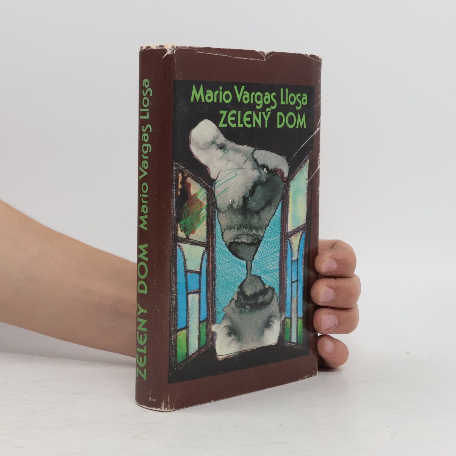 Mario Vargas Llosa Zelený dom