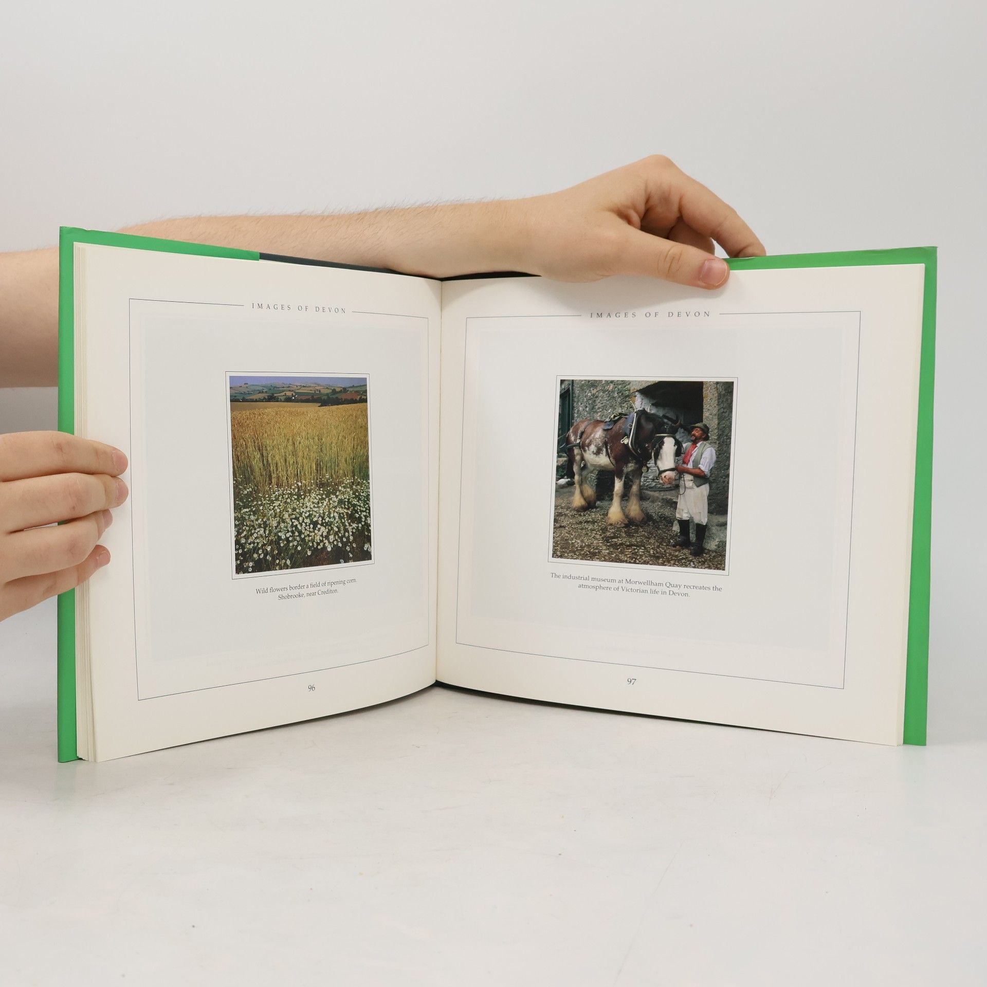 Peter Peter David Thomas Images of Devon