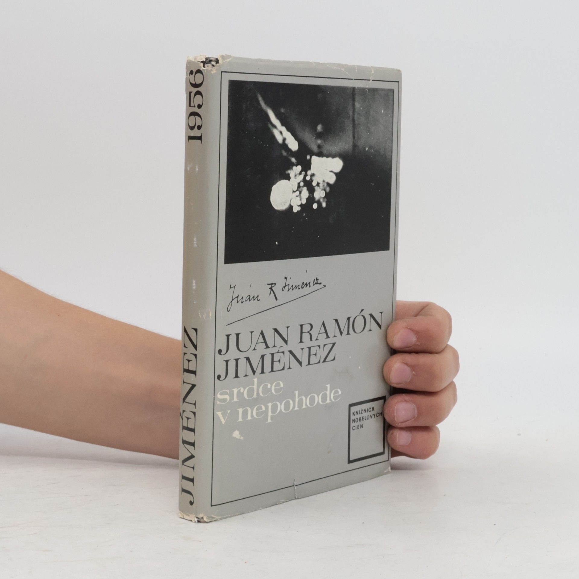 Juan Ramón Jiménez Srdce v nepohode