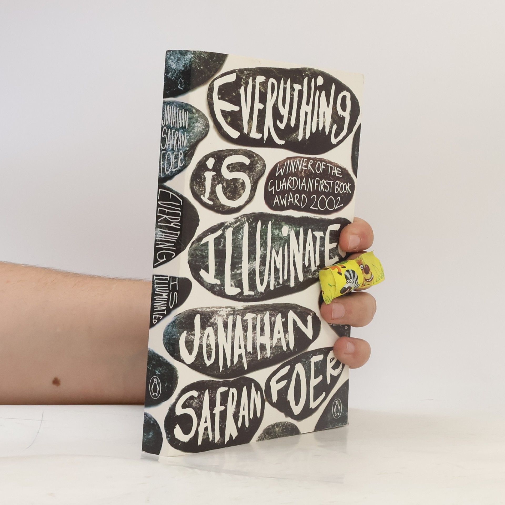 Jonathan Safran Foer Everything is illuminated