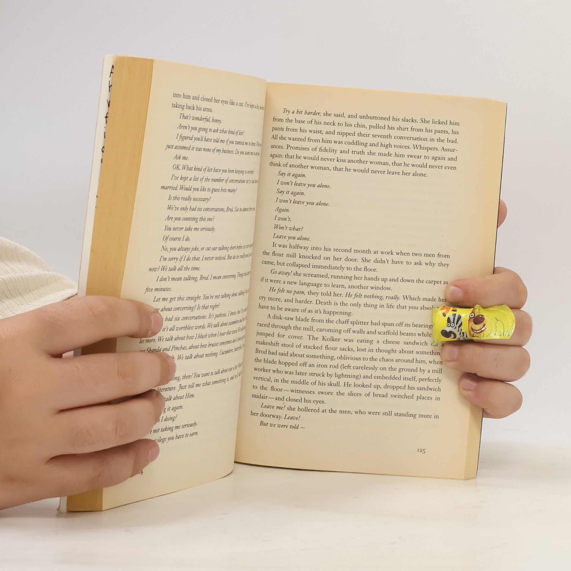 Jonathan Safran Foer Everything is illuminated