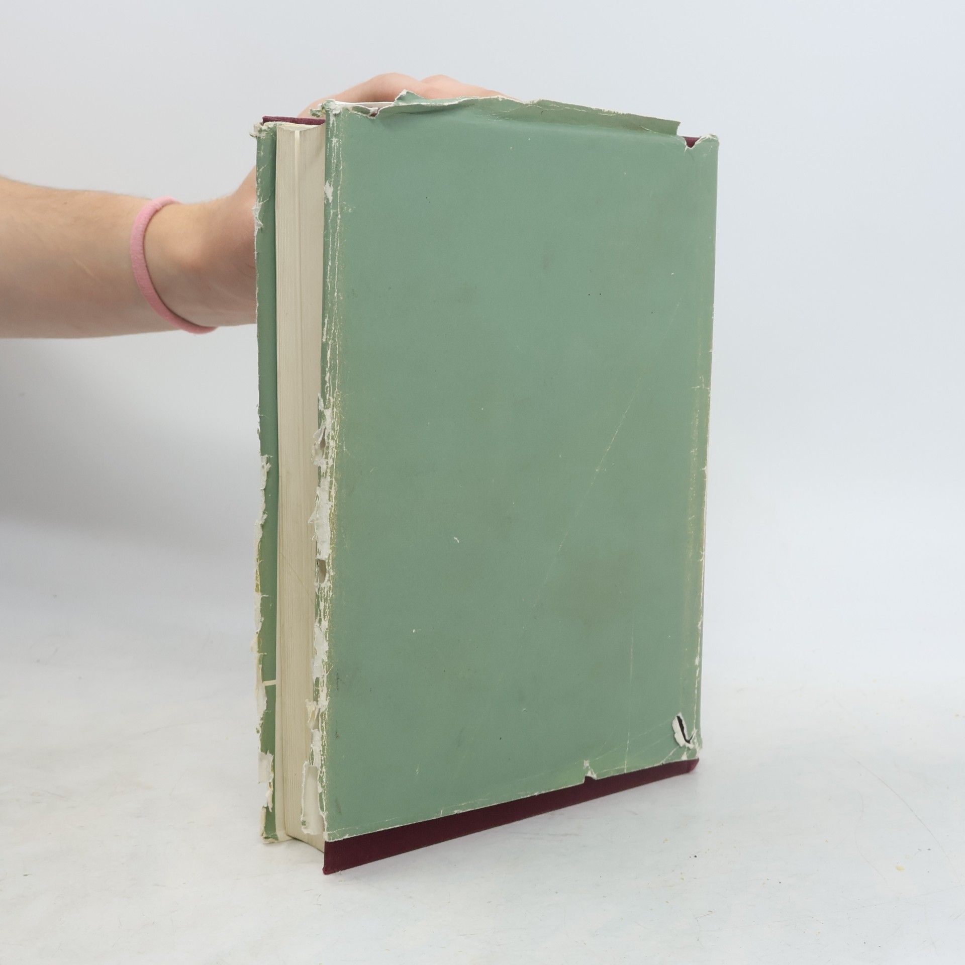 Various authors Kunststoff-Handbuch VI: Polyamide