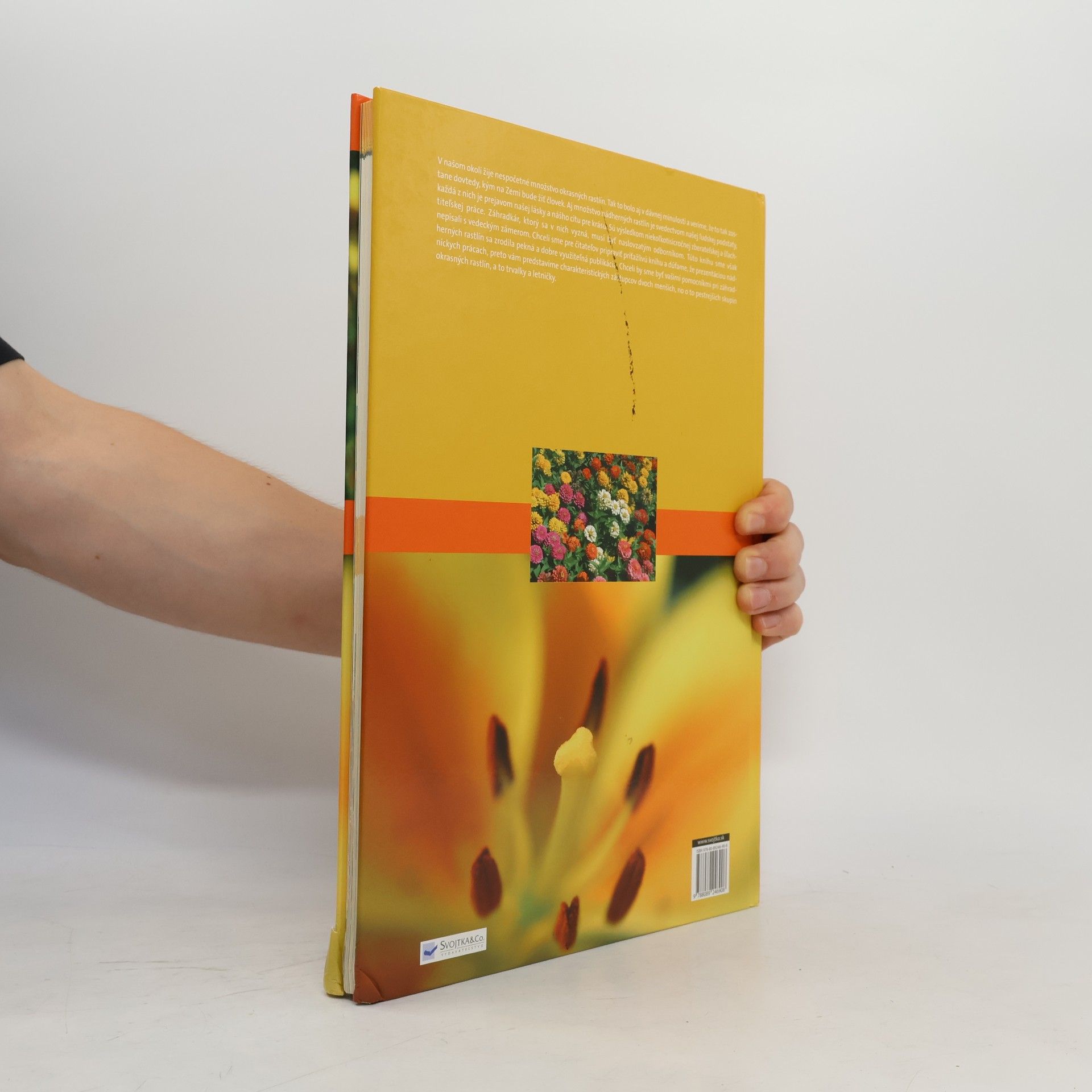 Autores varios Veľký lexikón kvetov - Záhradné kvety od A do Z