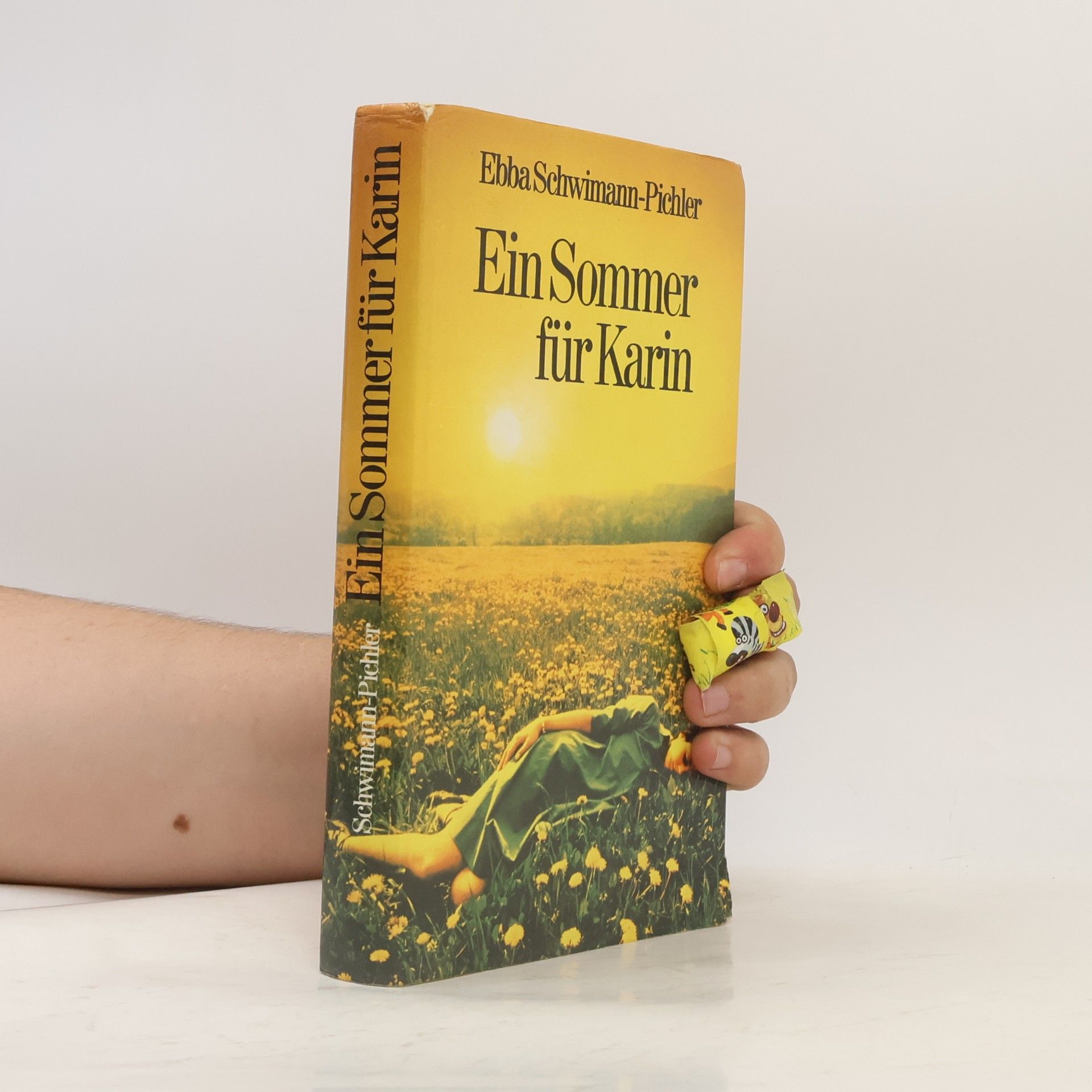 Ebba Schwimann-Pichler Ein Sommer für Karin