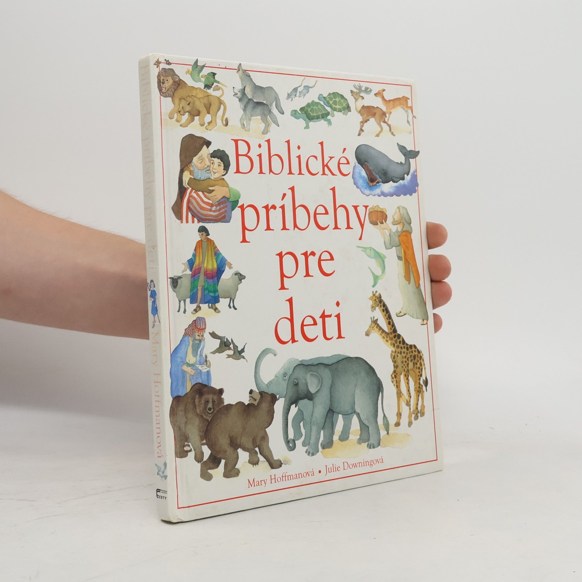 Julie Downing Biblické príbehy pre deti