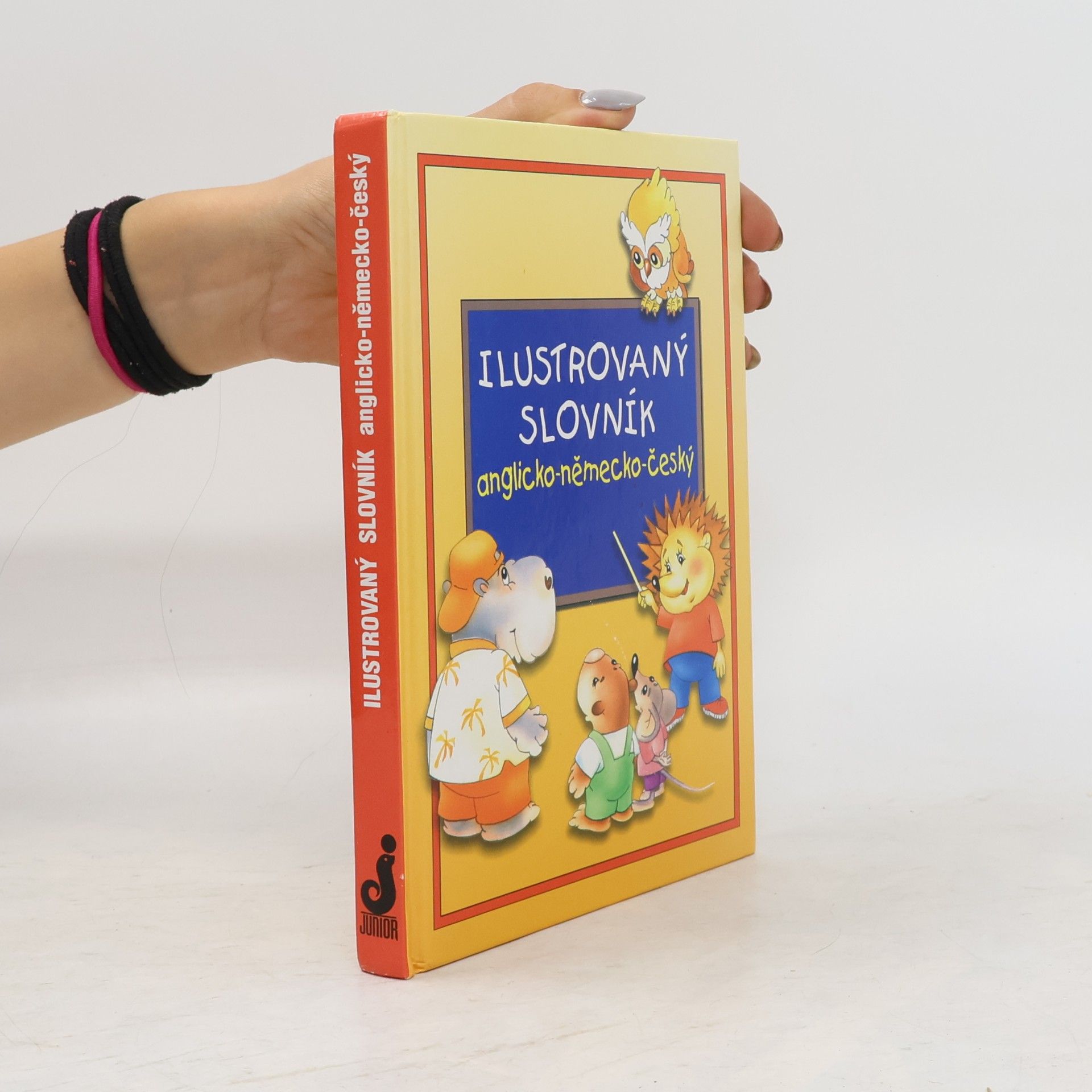 Andrij Melnikow Ilustrovaný slovník anglicko-německo-český