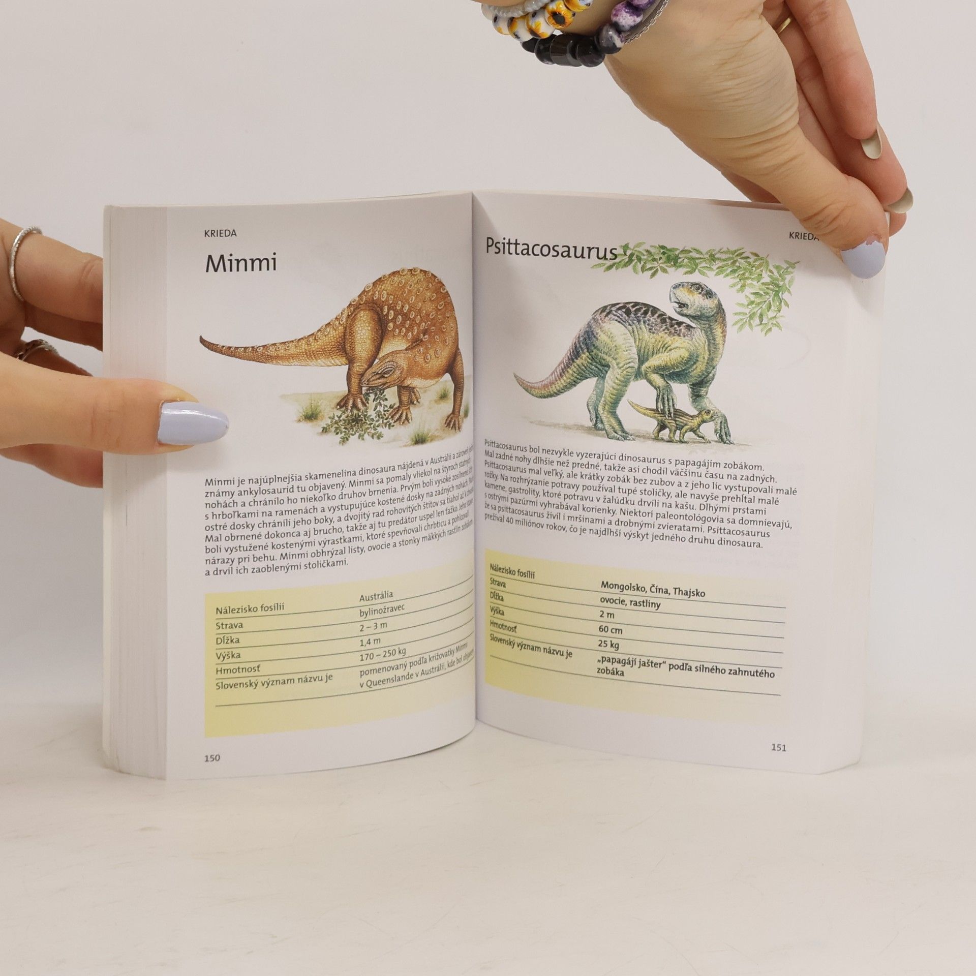 Autorenkollektiv Dinosaury - špeciálny sprievodca