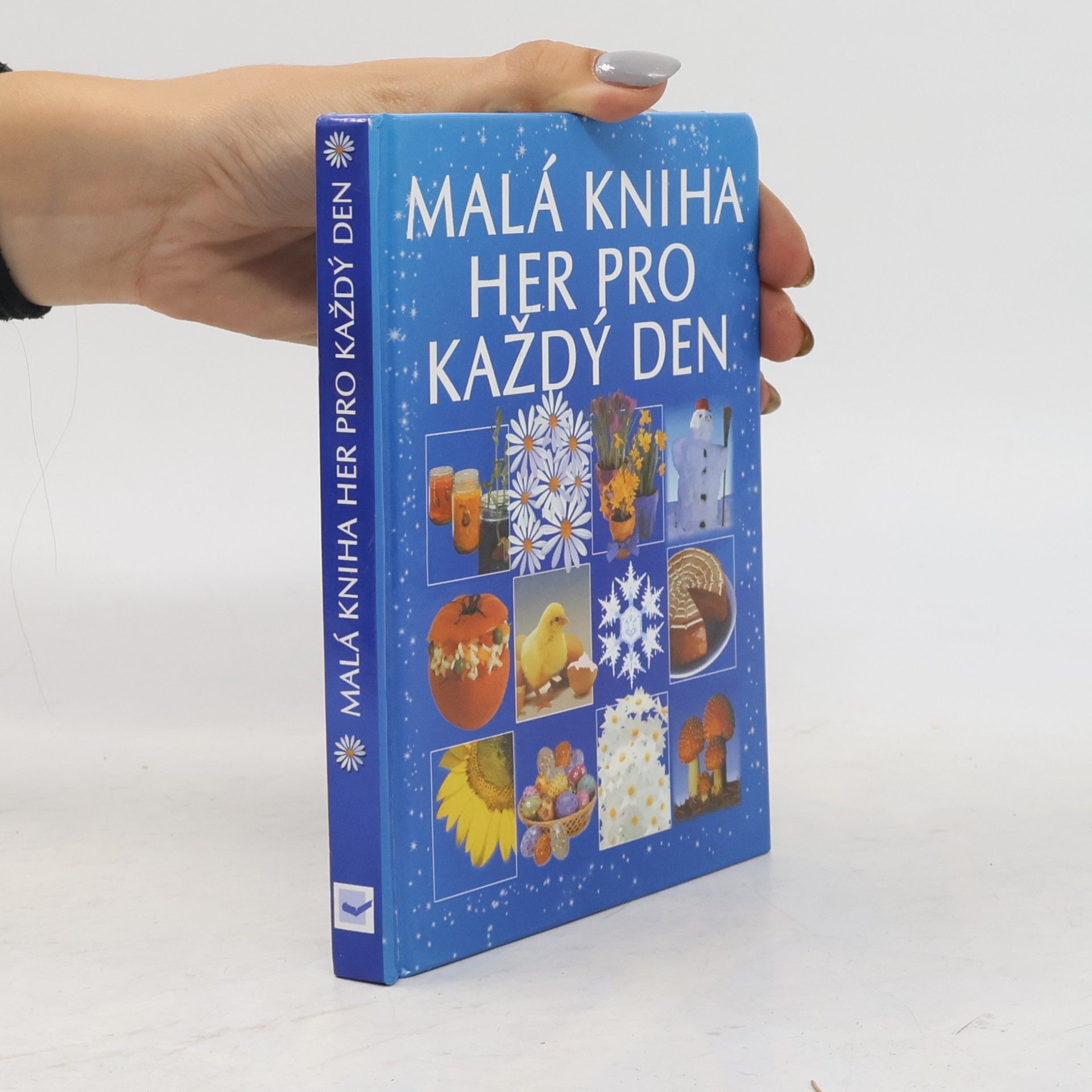 Dona Zalmanová Malá kniha her pro každý den