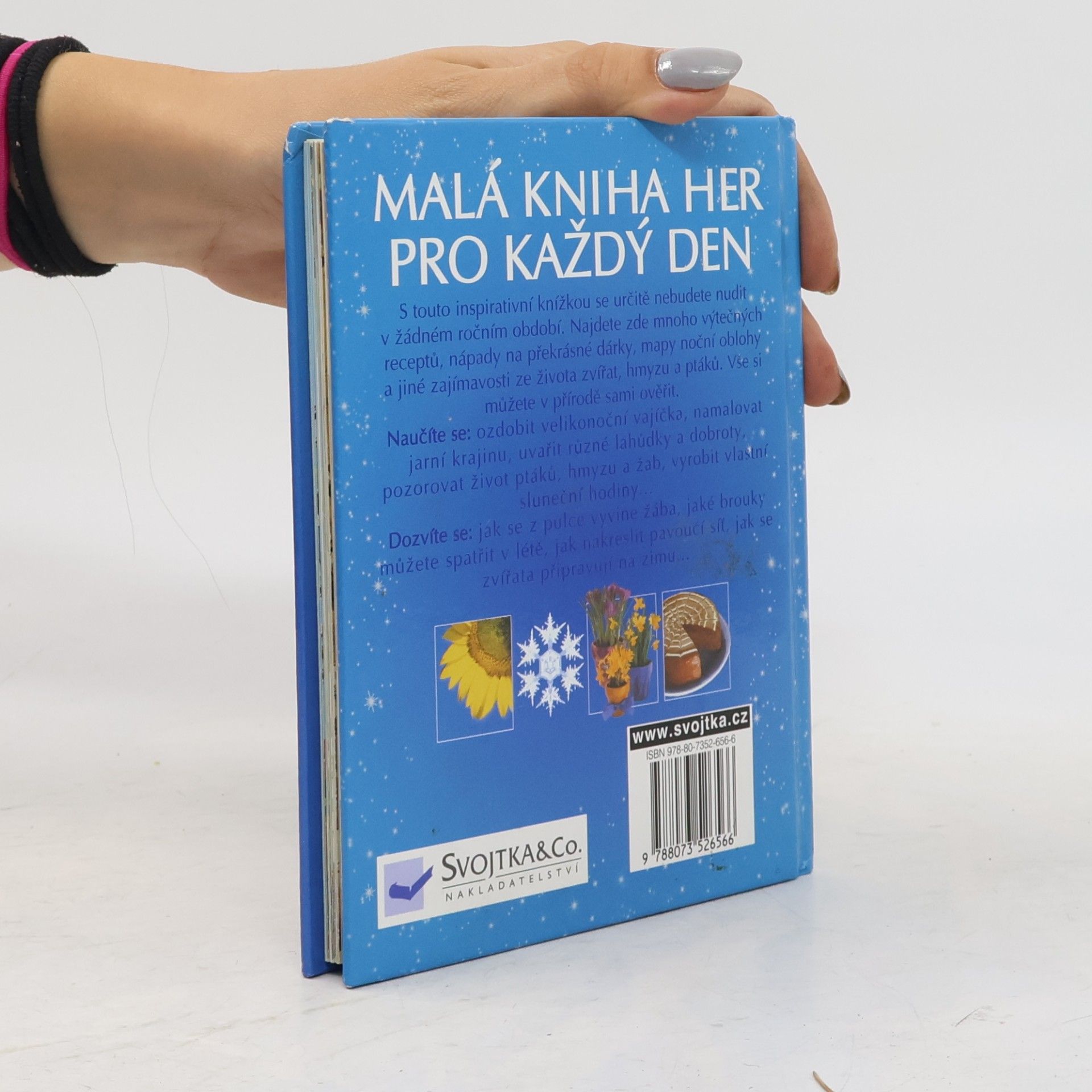 Angela Wilkes Malá kniha her pro každý den