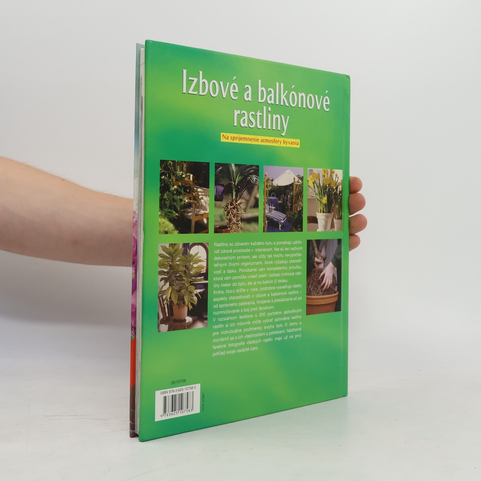 Autorenkollektiv Izbové a balkónové rastliny : na spríjemnenie atmosféry bývania