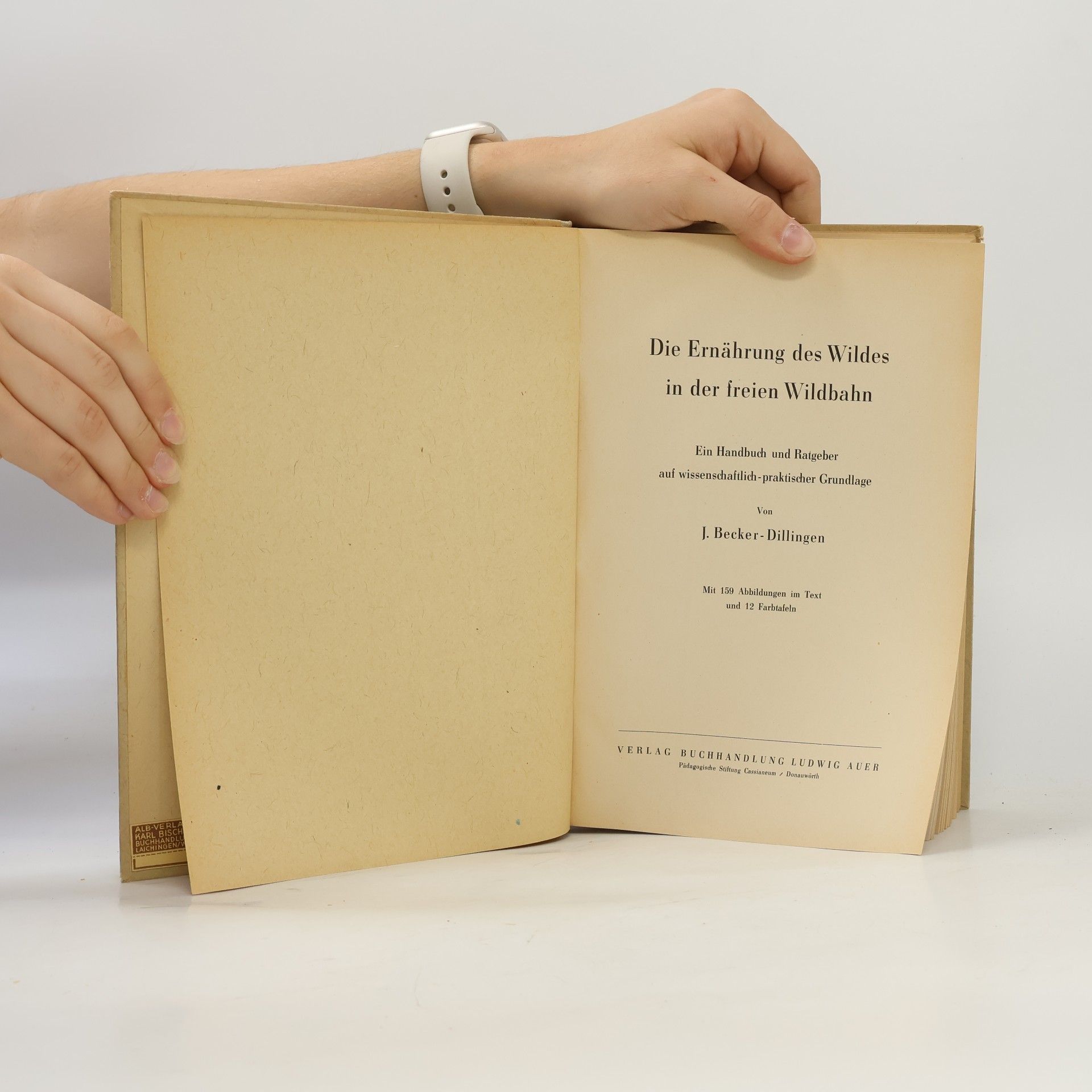 Autorenkollektiv Die Ernährung des Wildes in der freien Wildbahn