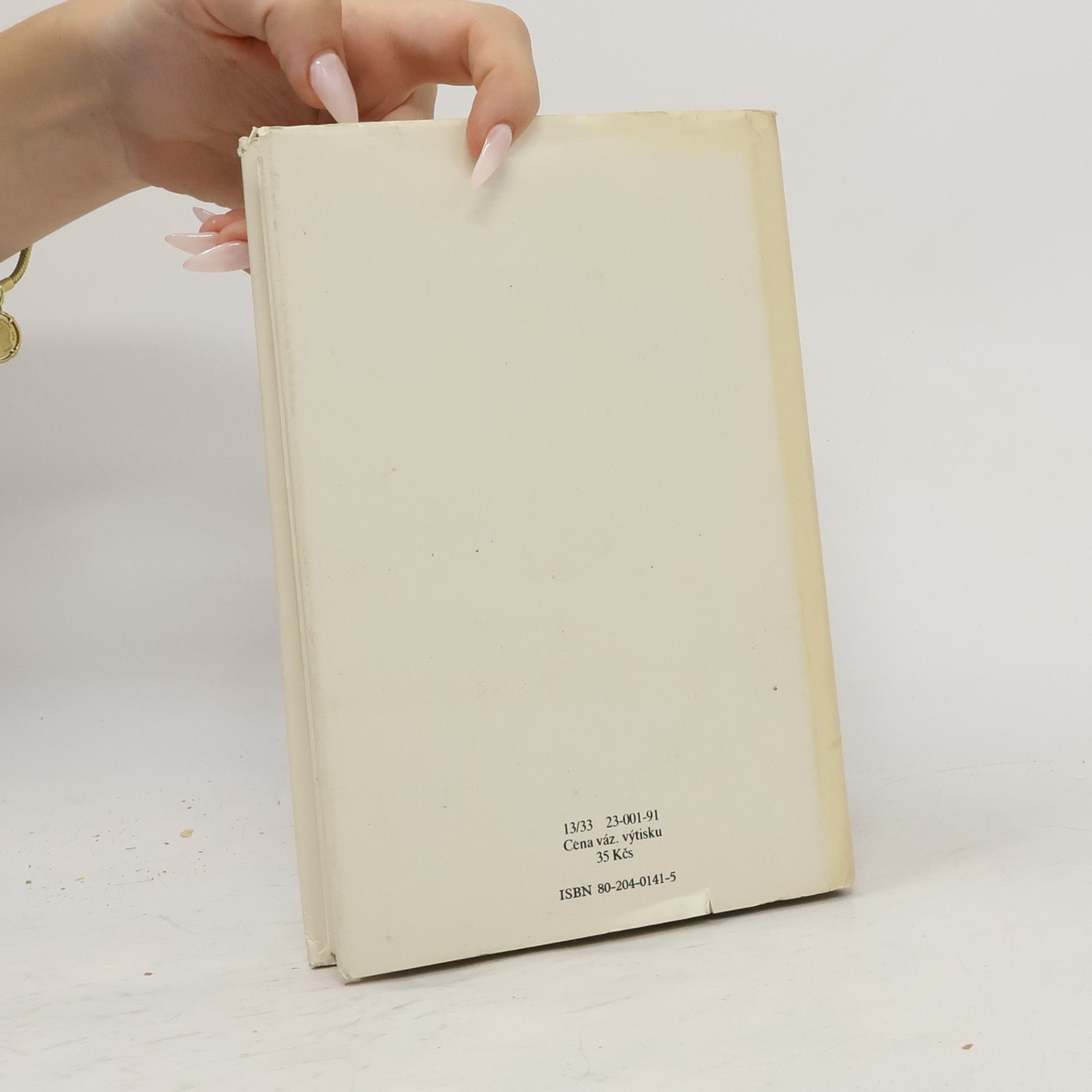 Ilona Borská Letci v bouři