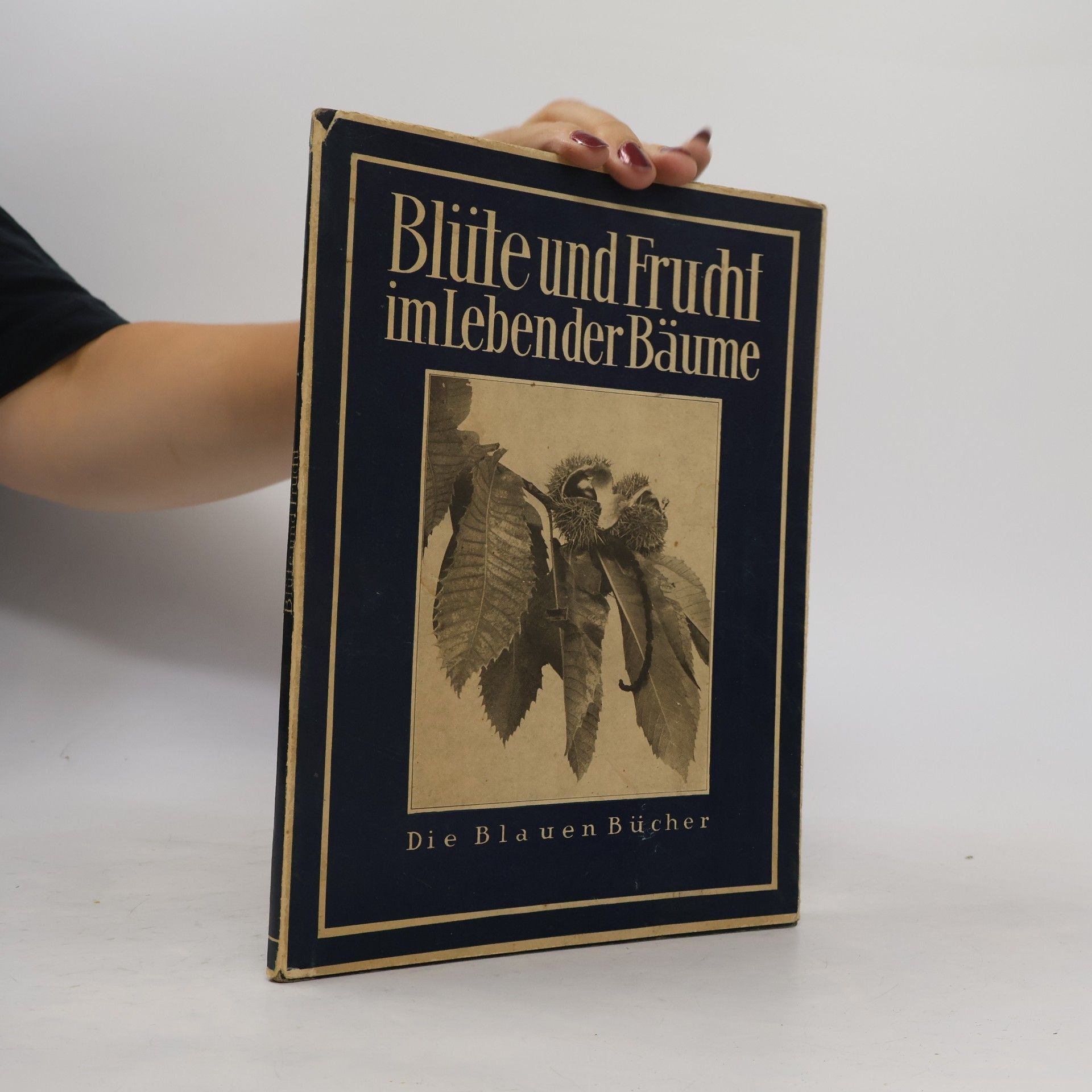 Karl Otto Bartels Blüte und Frucht im Leben der Bäume