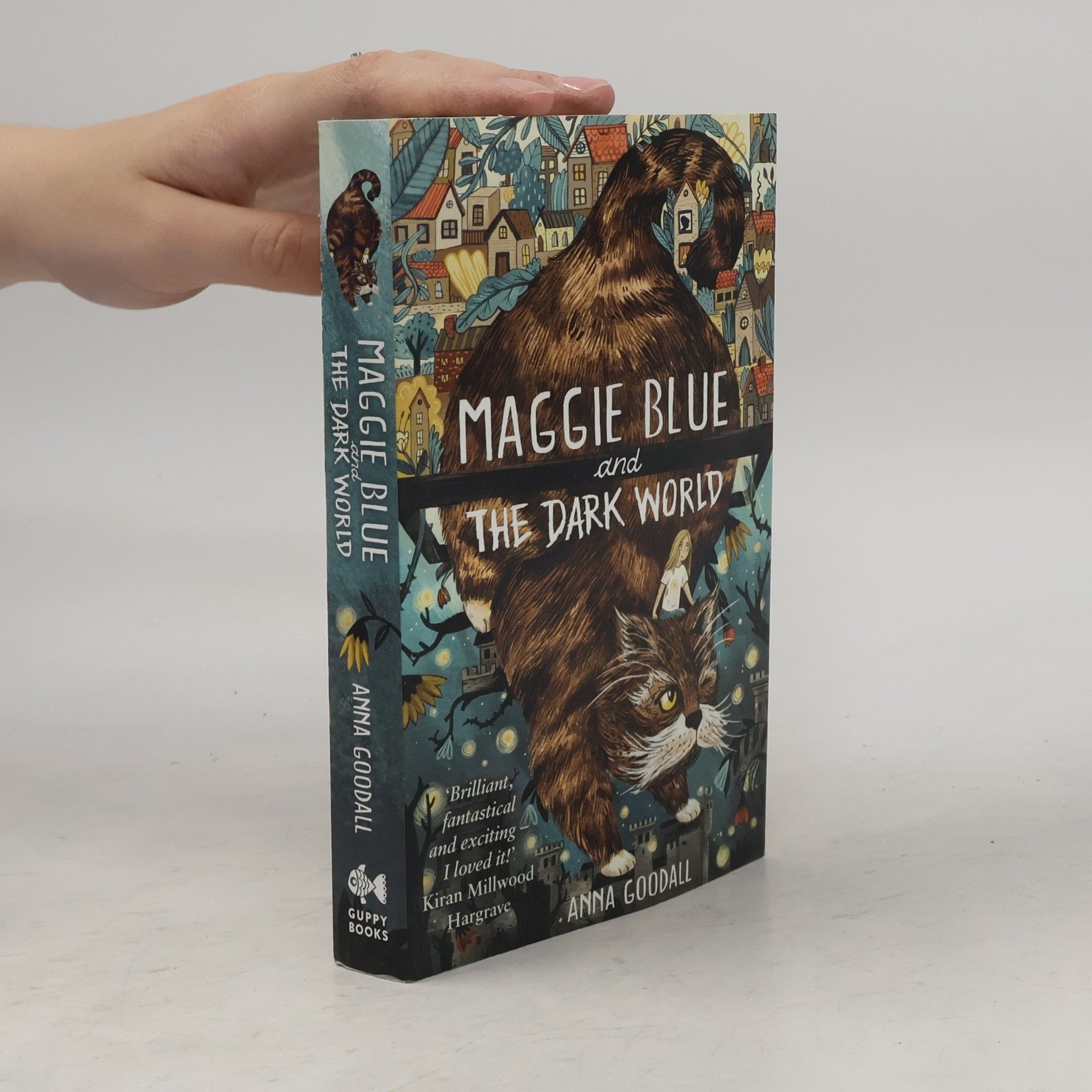 Anna Goodall Maggie Blue and the Dark World