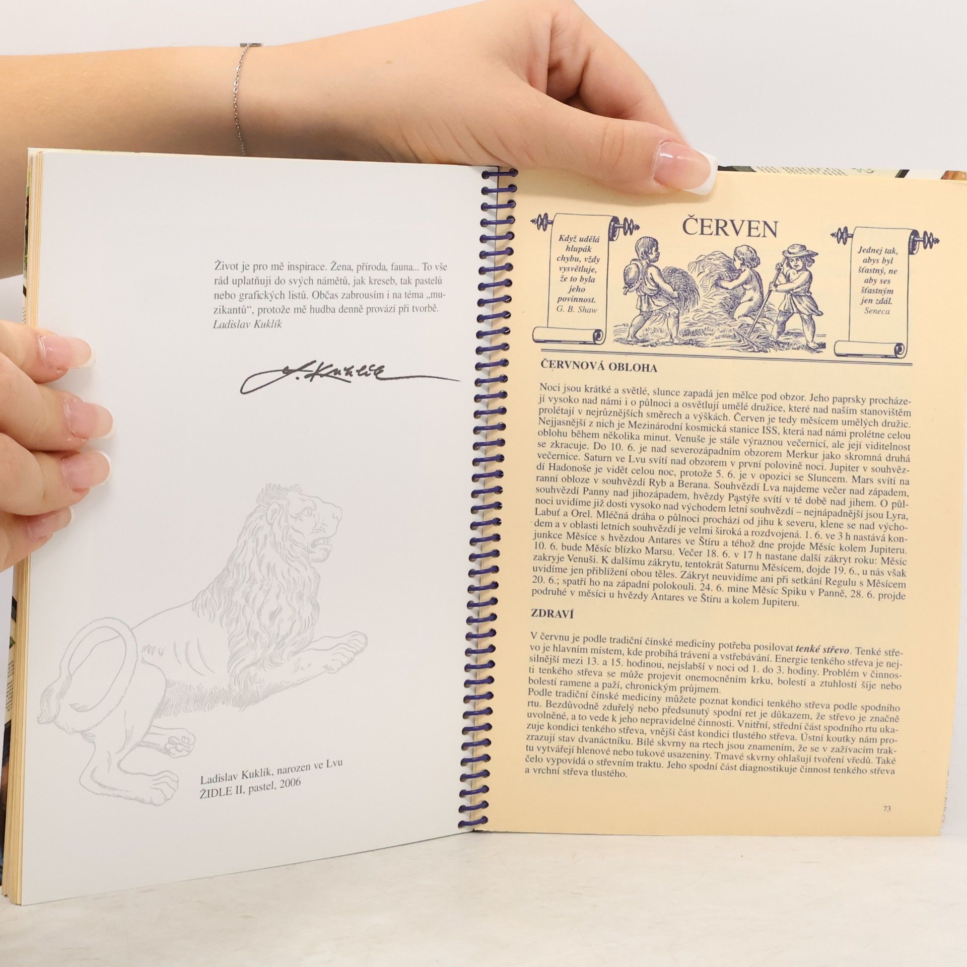 Autorenkollektiv Lunární kalendář Krásná paní 2007