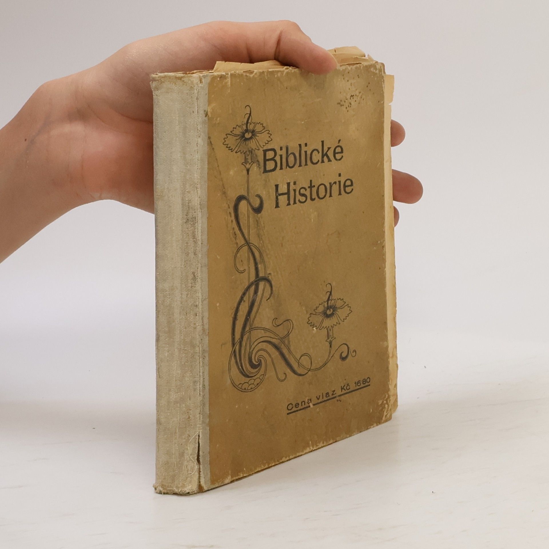Collectif d'auteurs Biblické historie