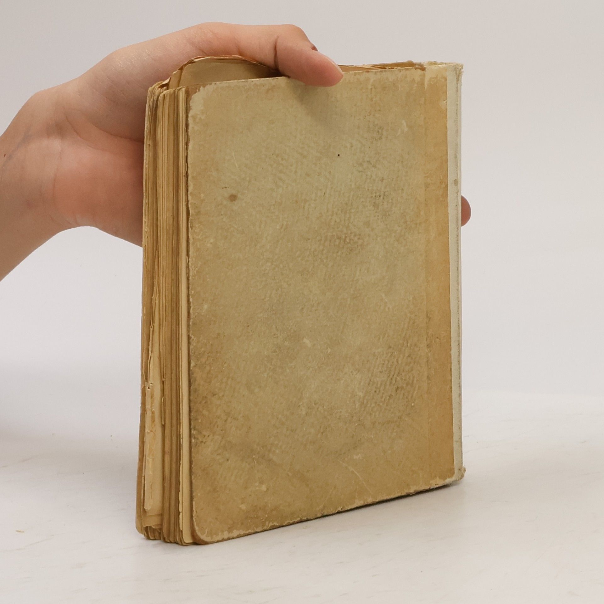 Collectif d'auteurs Biblické historie