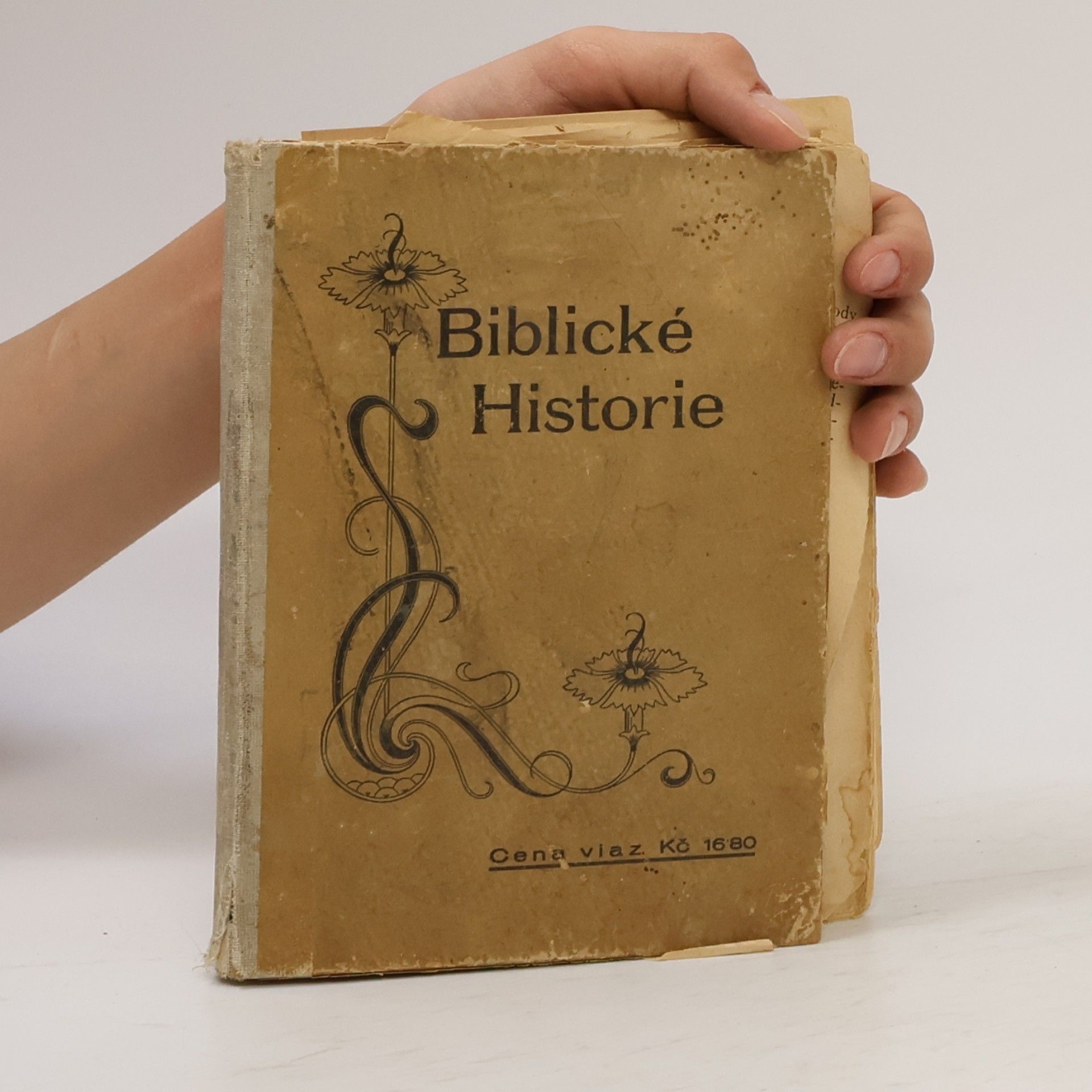 Collectif d'auteurs Biblické historie