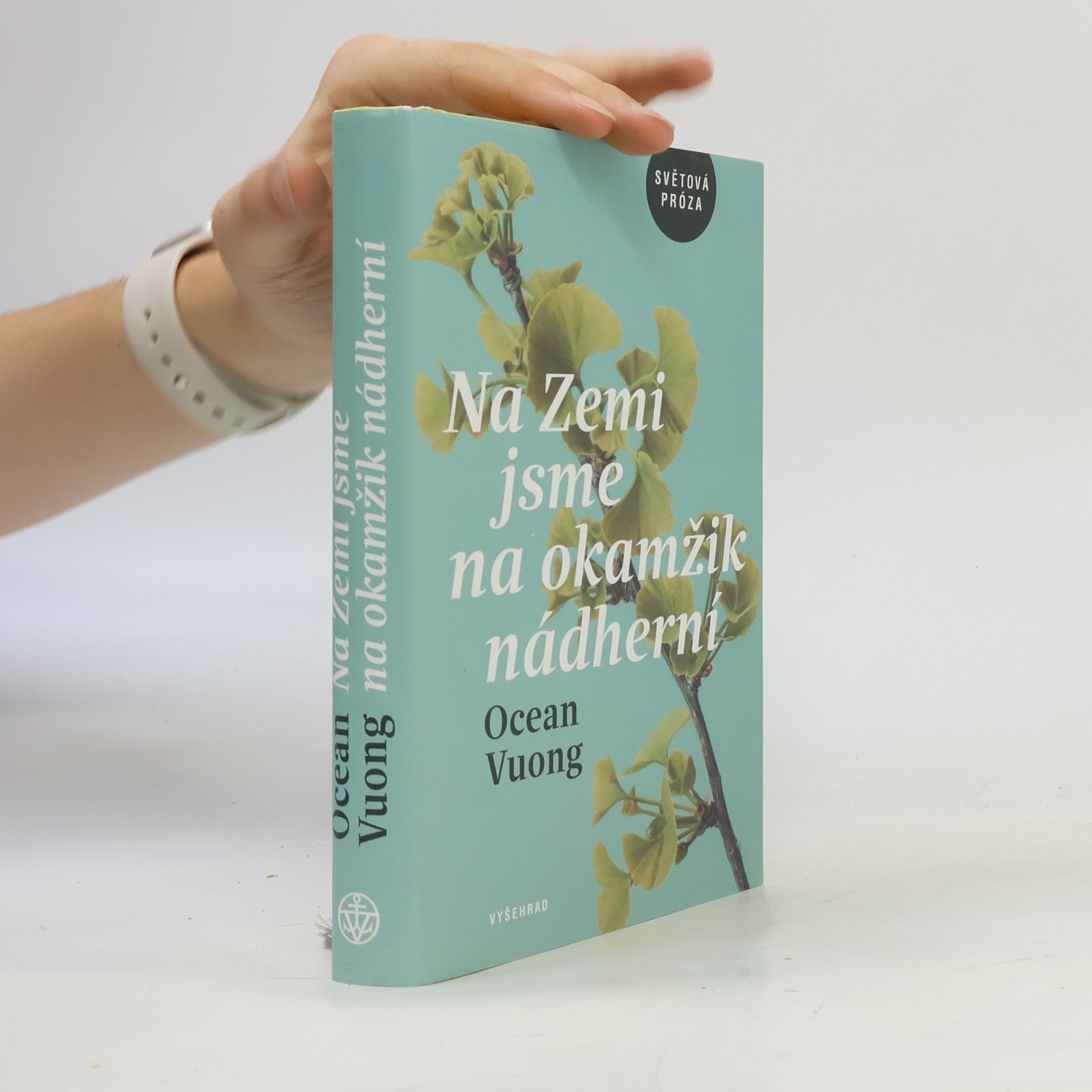 Ocean Vuong Na Zemi jsme na okamžik nádherní