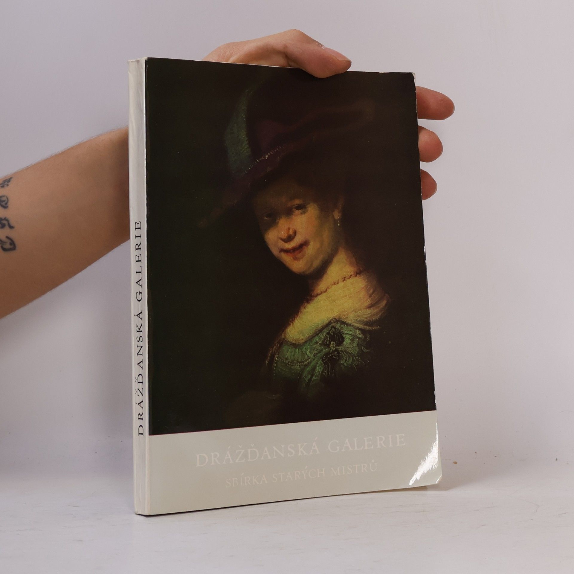 Kolektiv autorů Drážďanská galerie. Sbírka starých mistrů.