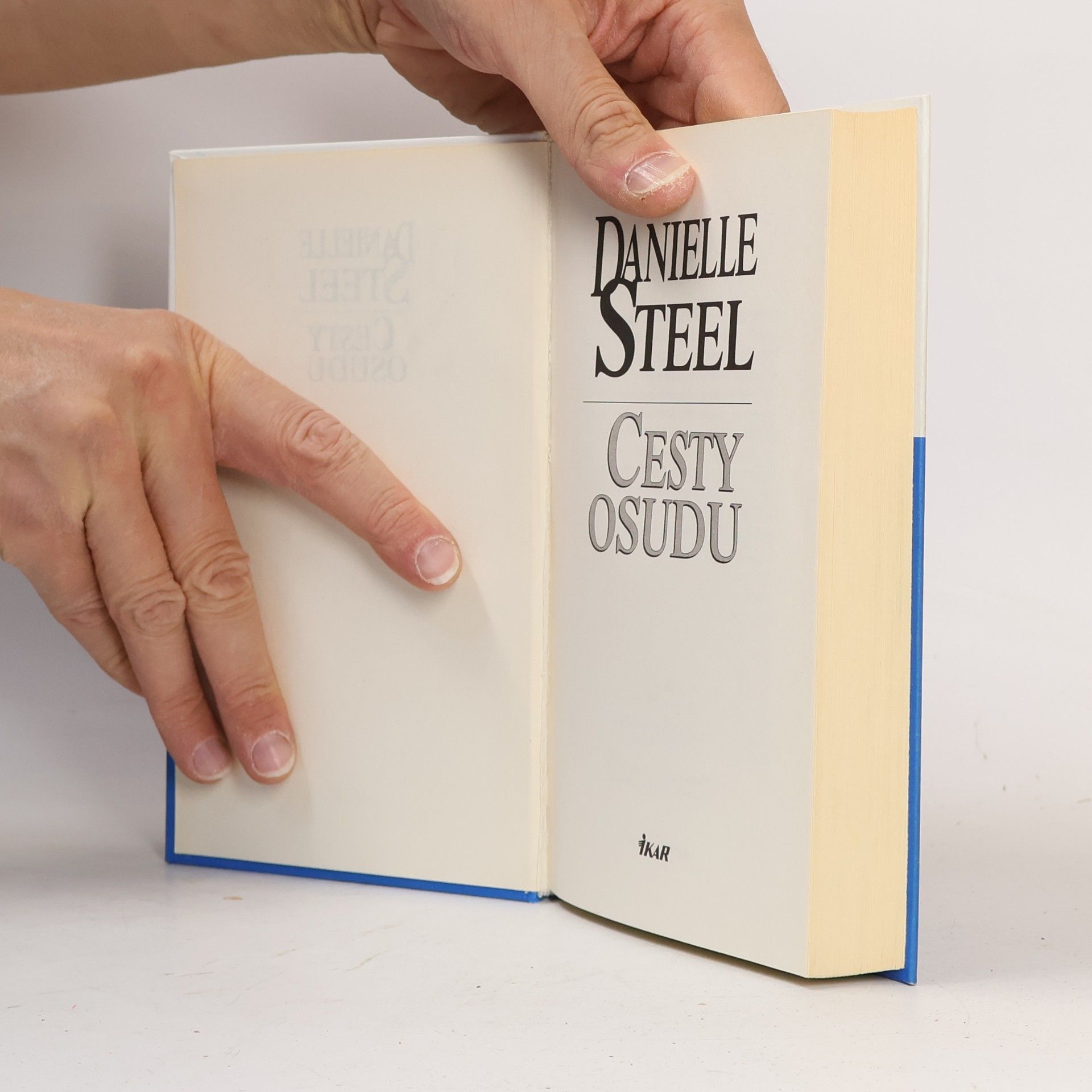 Danielle Steel Cesty osudu