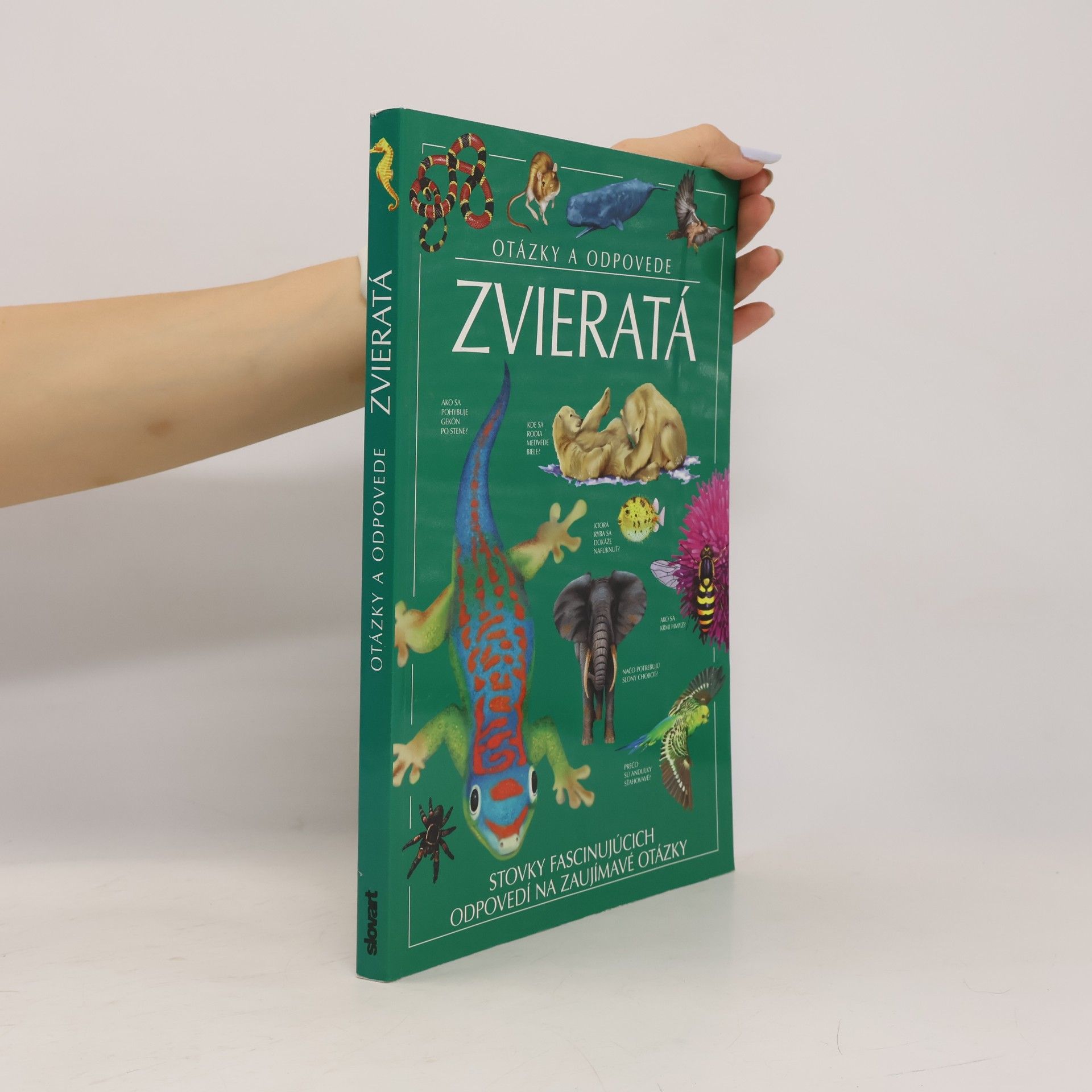 Autorenkollektiv Zvieratá: otázky a odpovede