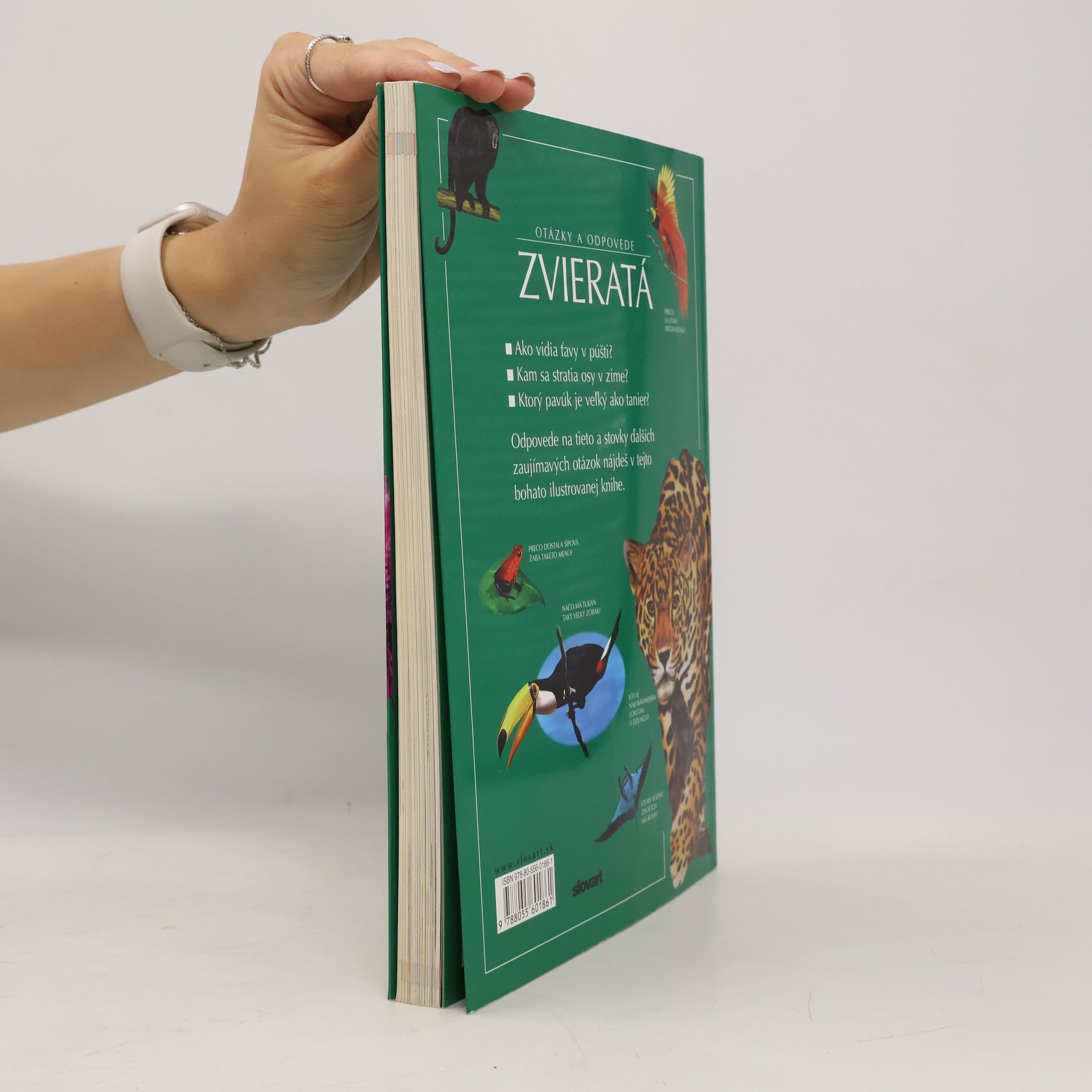 Various authors Zvieratá: otázky a odpovede