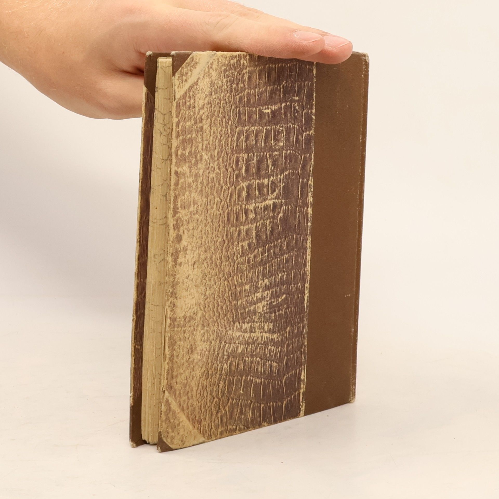 Alexandre Dumas starší Bratrstvo mstitelů II